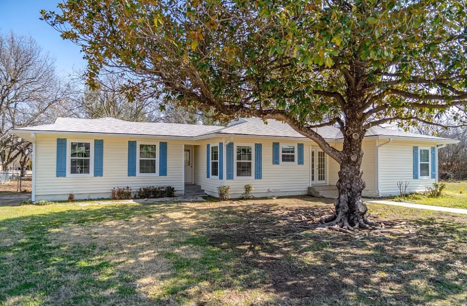 Single-story house with blue shutters and a large tree in front yard.