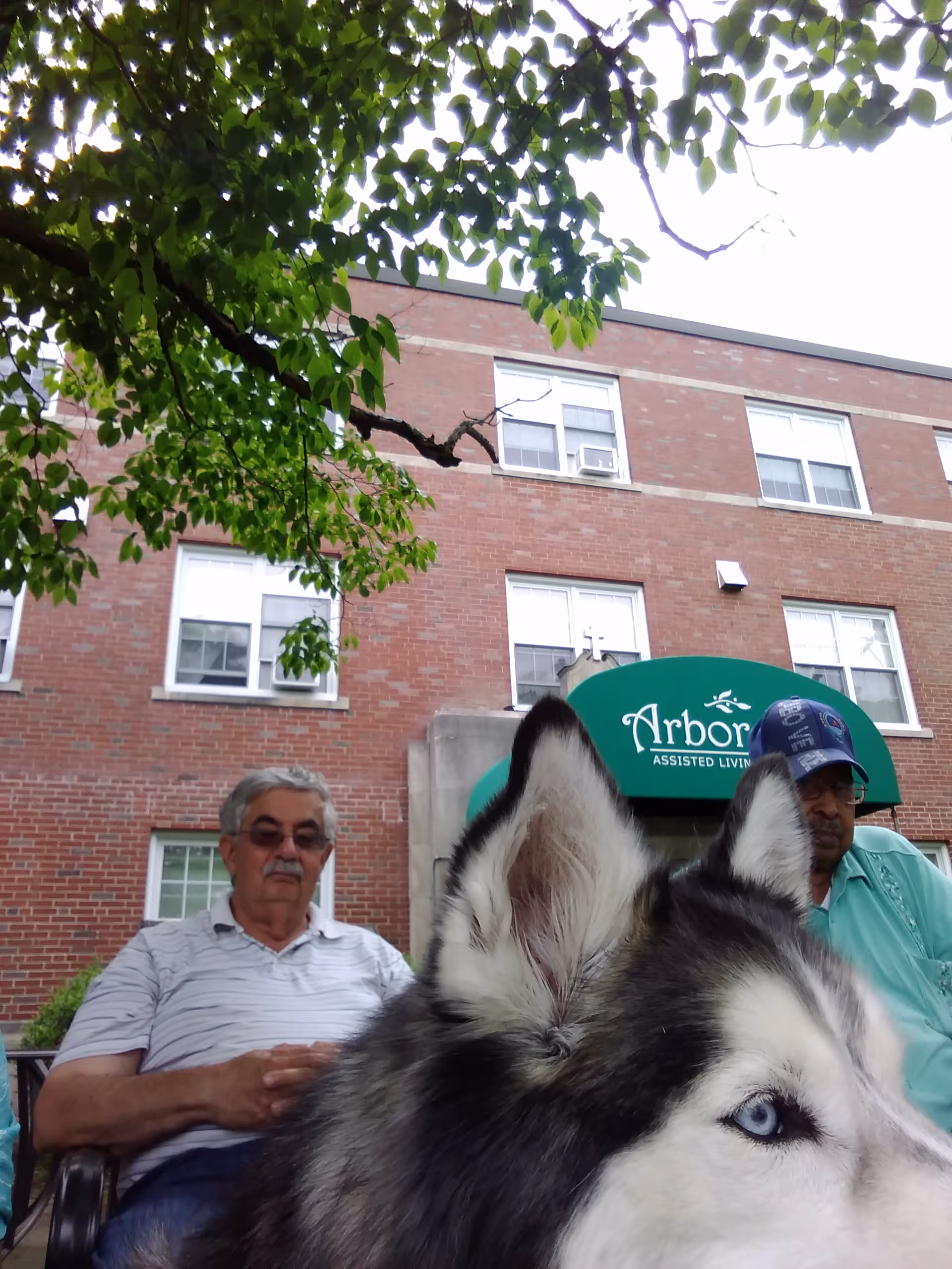 Brick building facade labeled Arbor Hill Assisted Living with two people and a husky near entrance