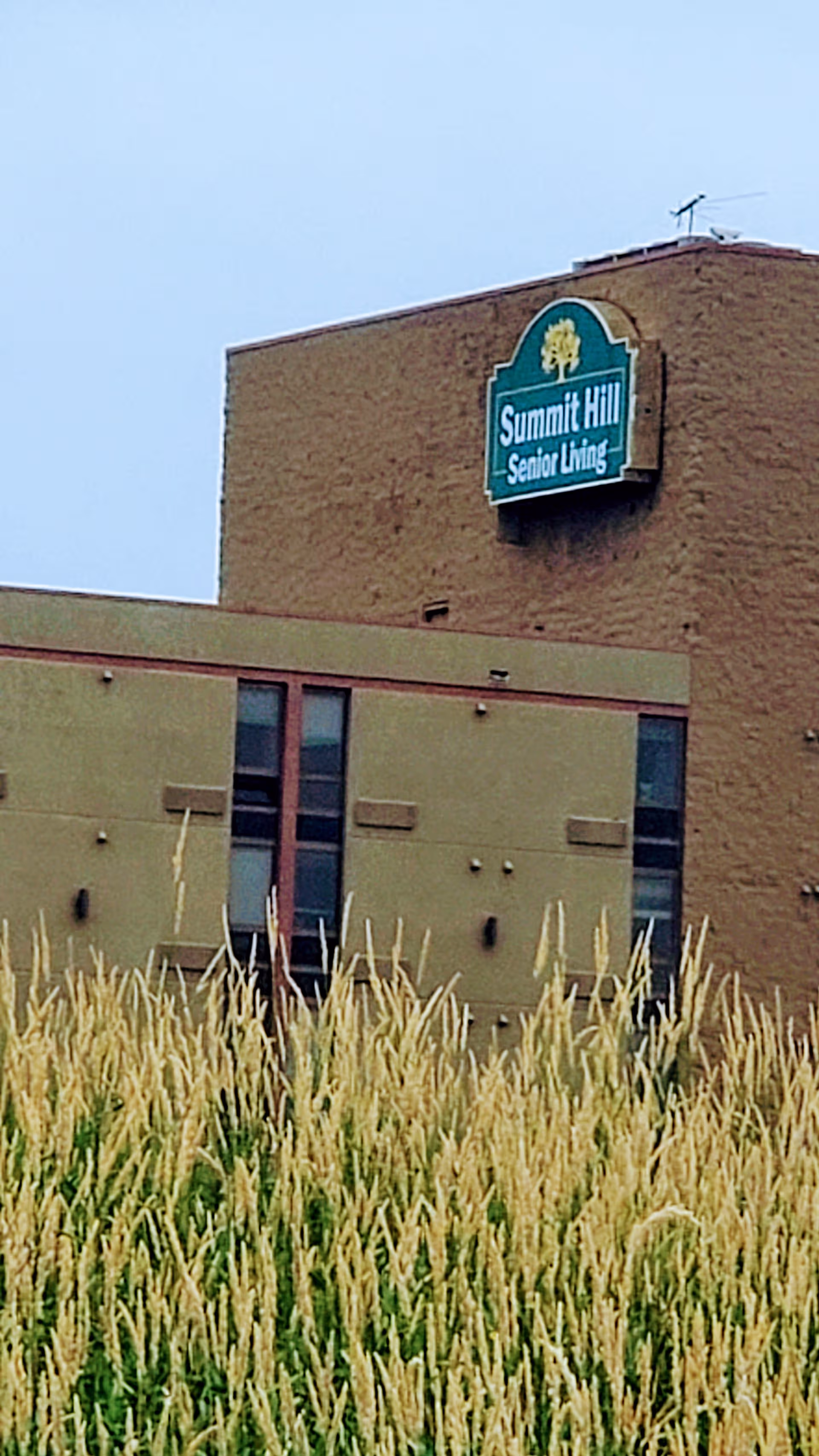 Exterior view of Summit Hill Senior Living with a sign on the building and tall grasses.