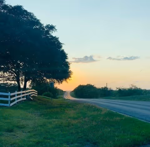 A rural road at sunset with a large tree and white wooden fence on the left side, grassy areas on both sides of the road, and a clear sky with a few clouds.