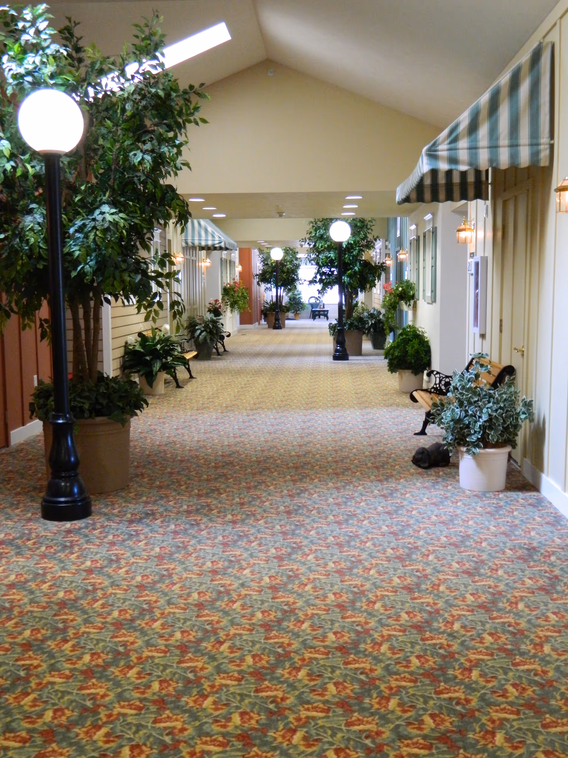 Interior hallway of a senior living facility with potted plants and awnings.