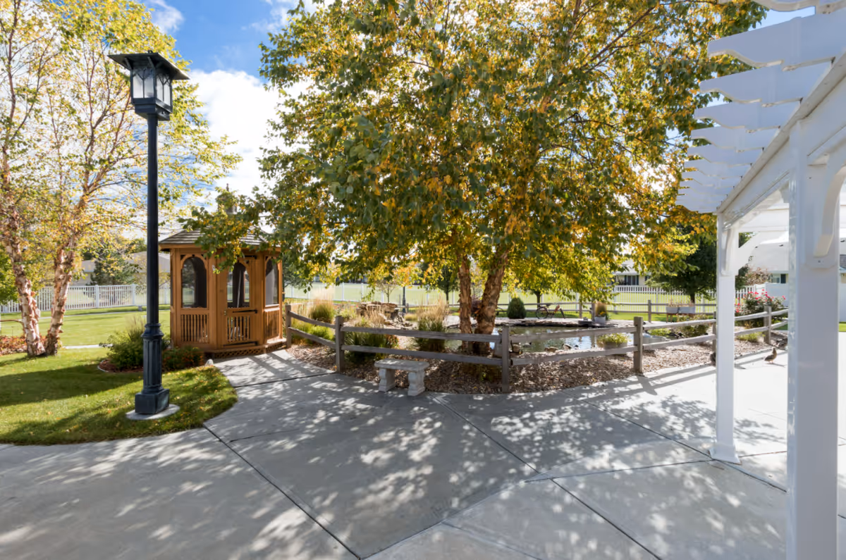 Outdoor courtyard with a wooden gazebo, lamppost, trees, and a white pergola on a sunny day.