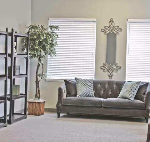Grey tufted sofa with pillows sits in a bright living room with windows and plant.