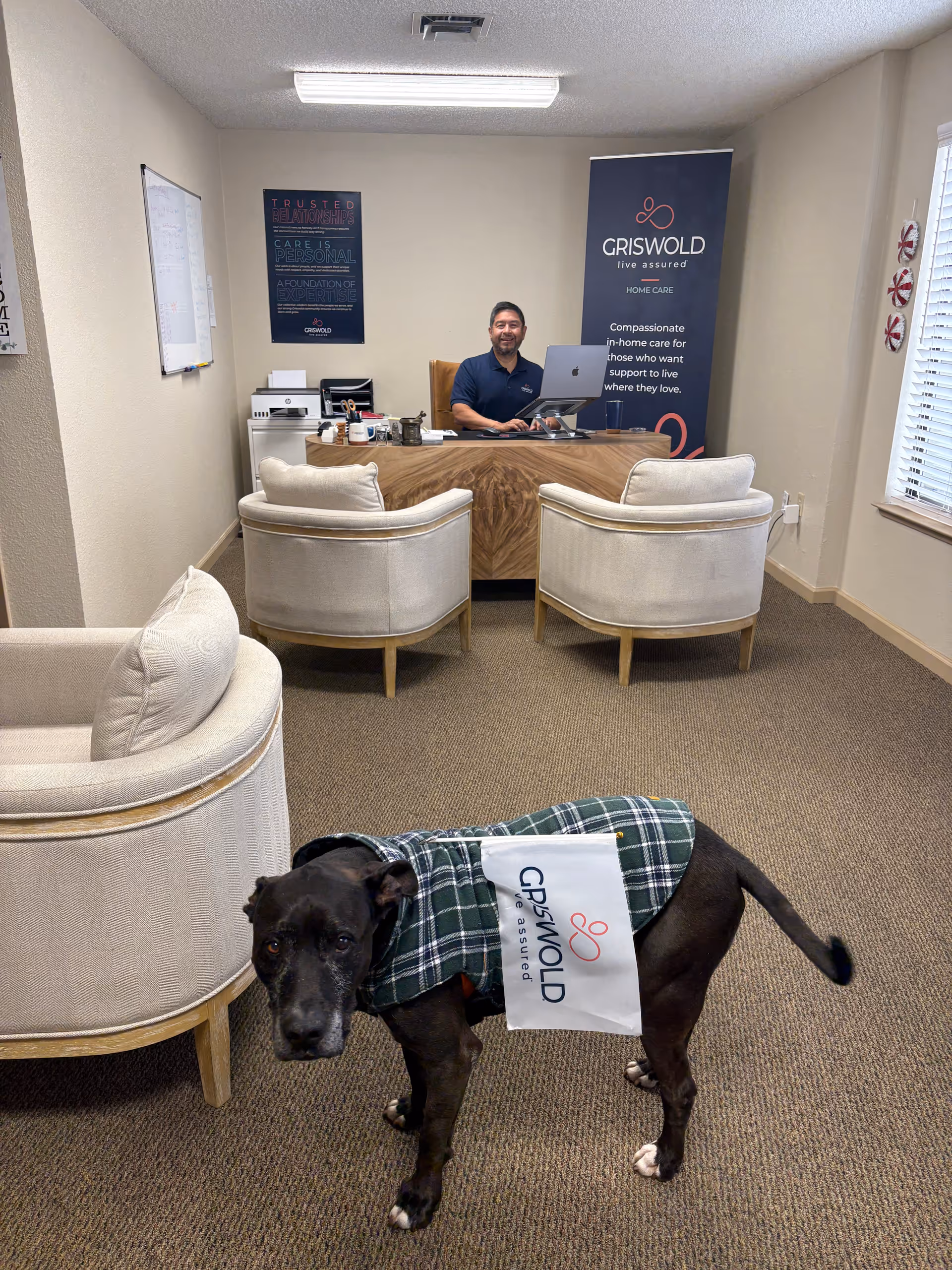 Reception area with staff at desk and a plaid-coated dog in front.