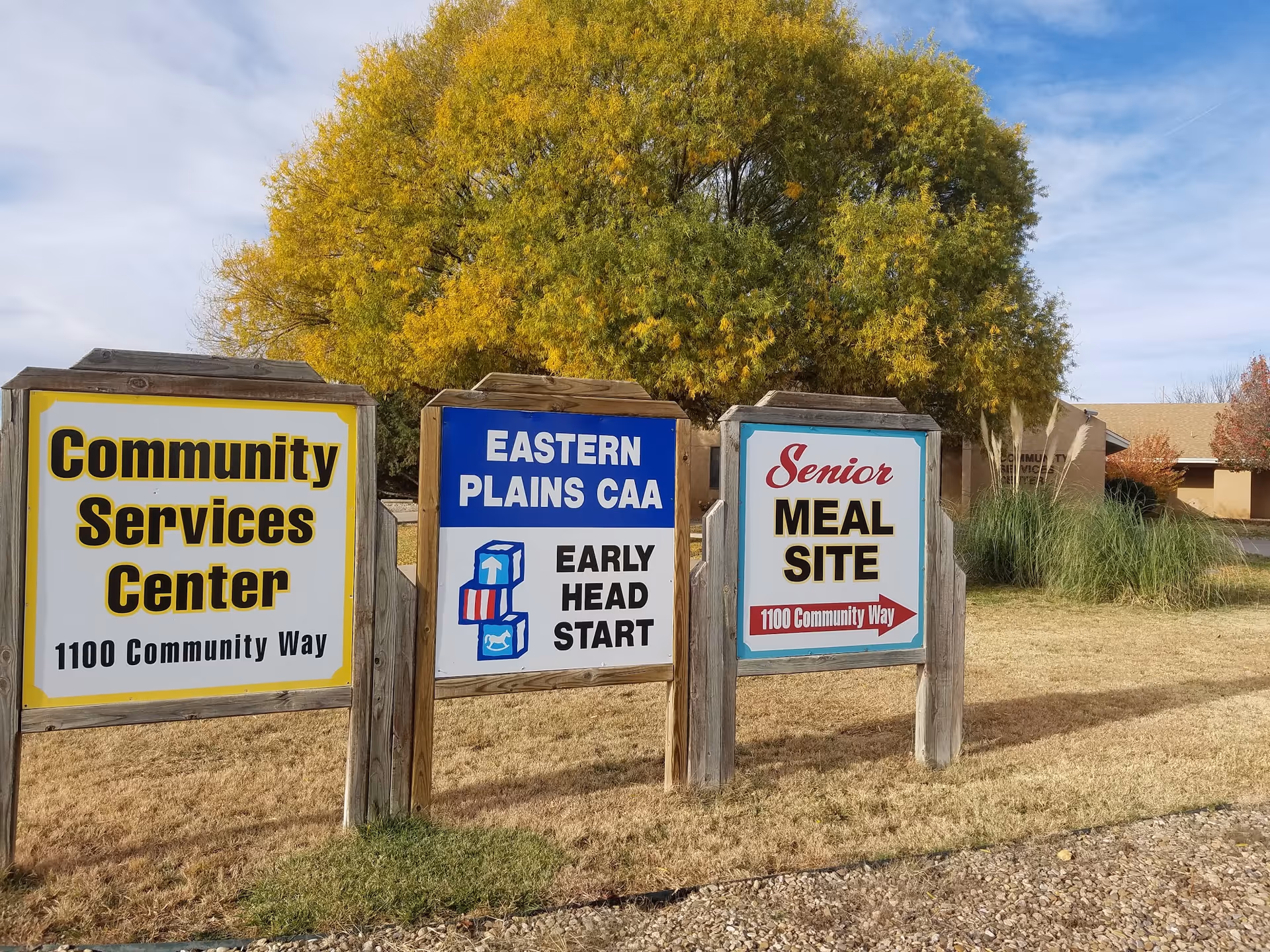 Three wooden signs for Community Services Center stand in front of a large tree.