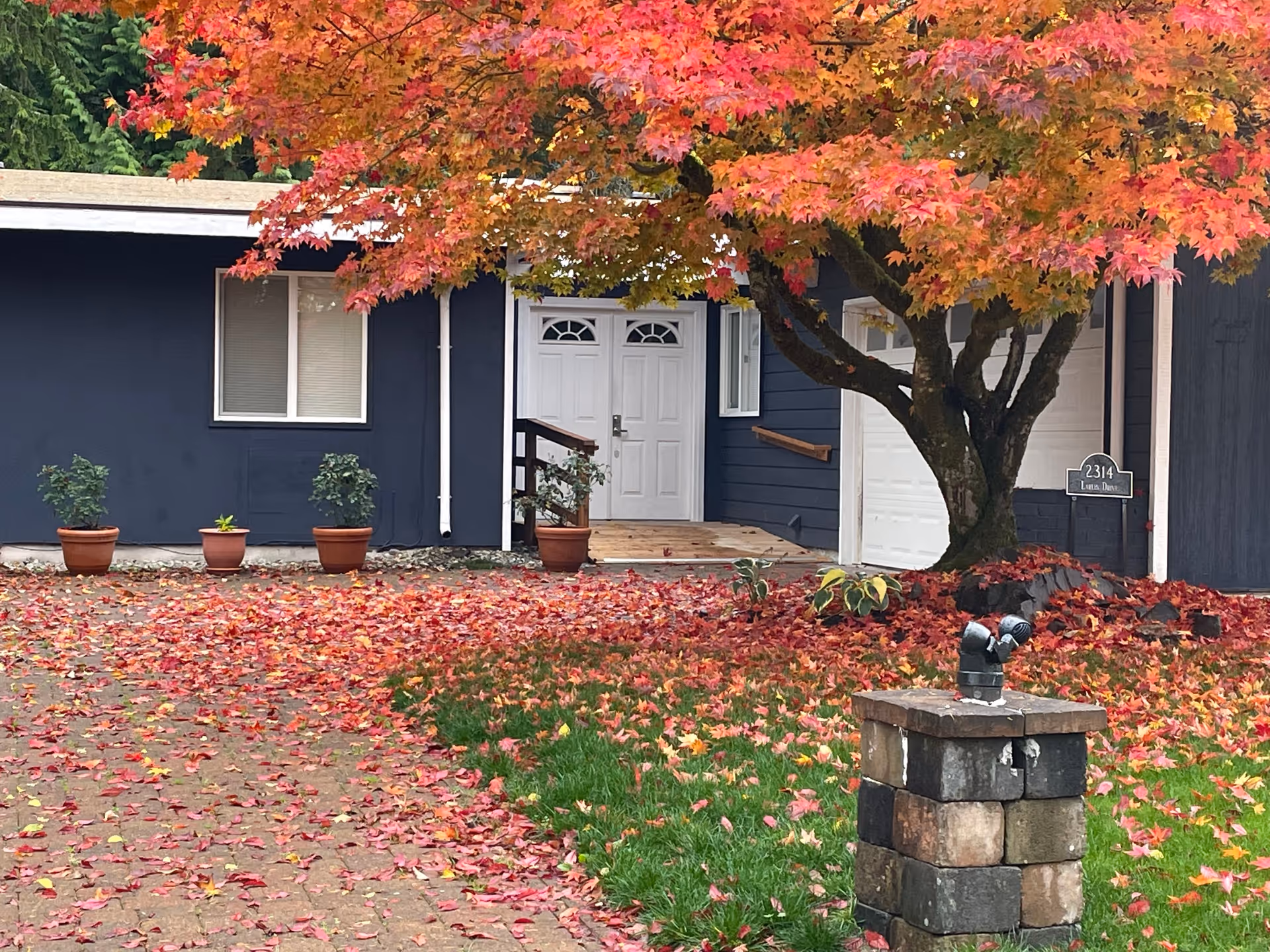 Front exterior of a dark-blue residential building with a red autumn tree and fallen leaves.