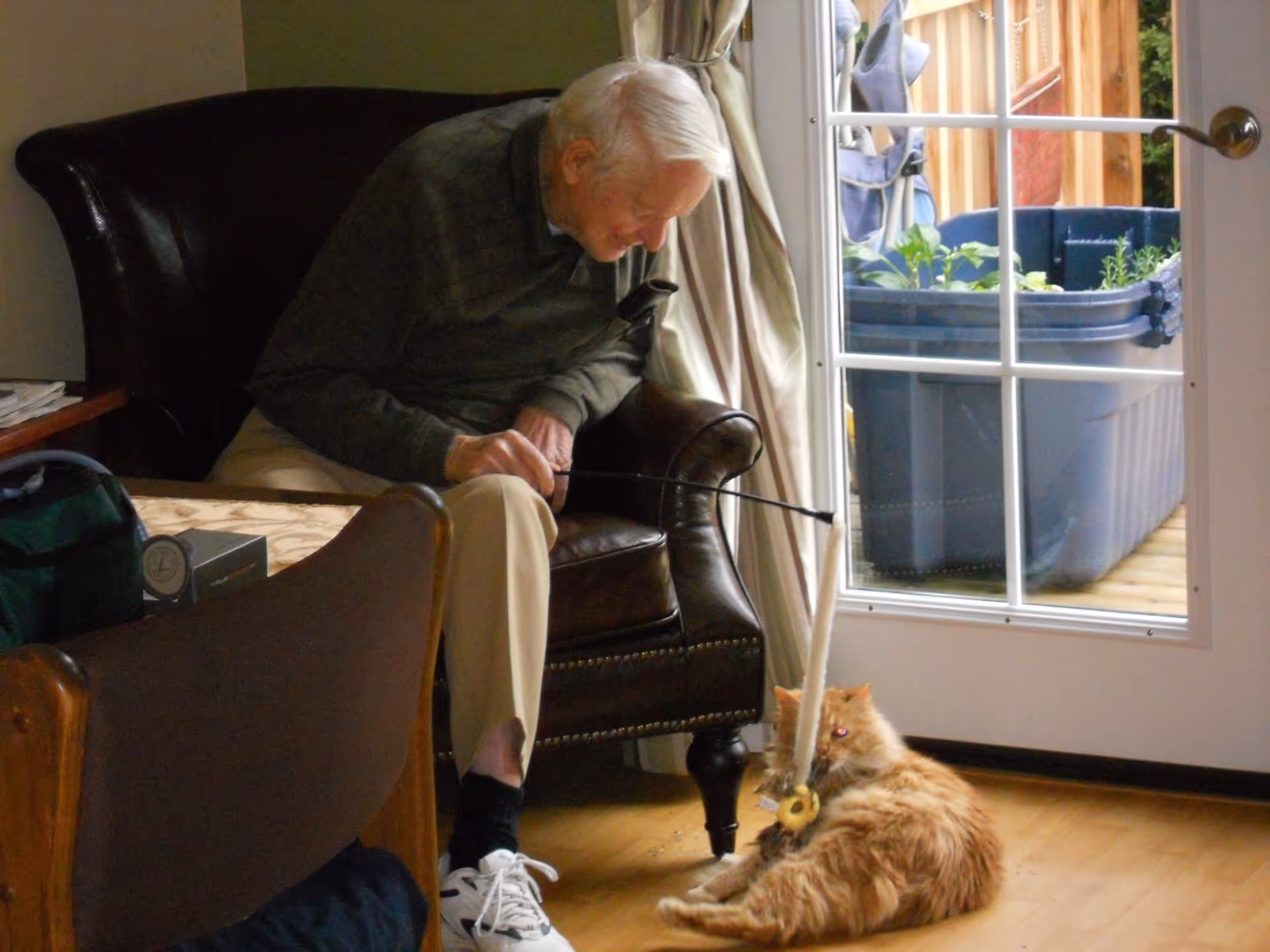 An elderly man sitting in a dark leather armchair playing with a fluffy orange cat using a toy on a stick near a glass door with a view of a patio and planter boxes outside.