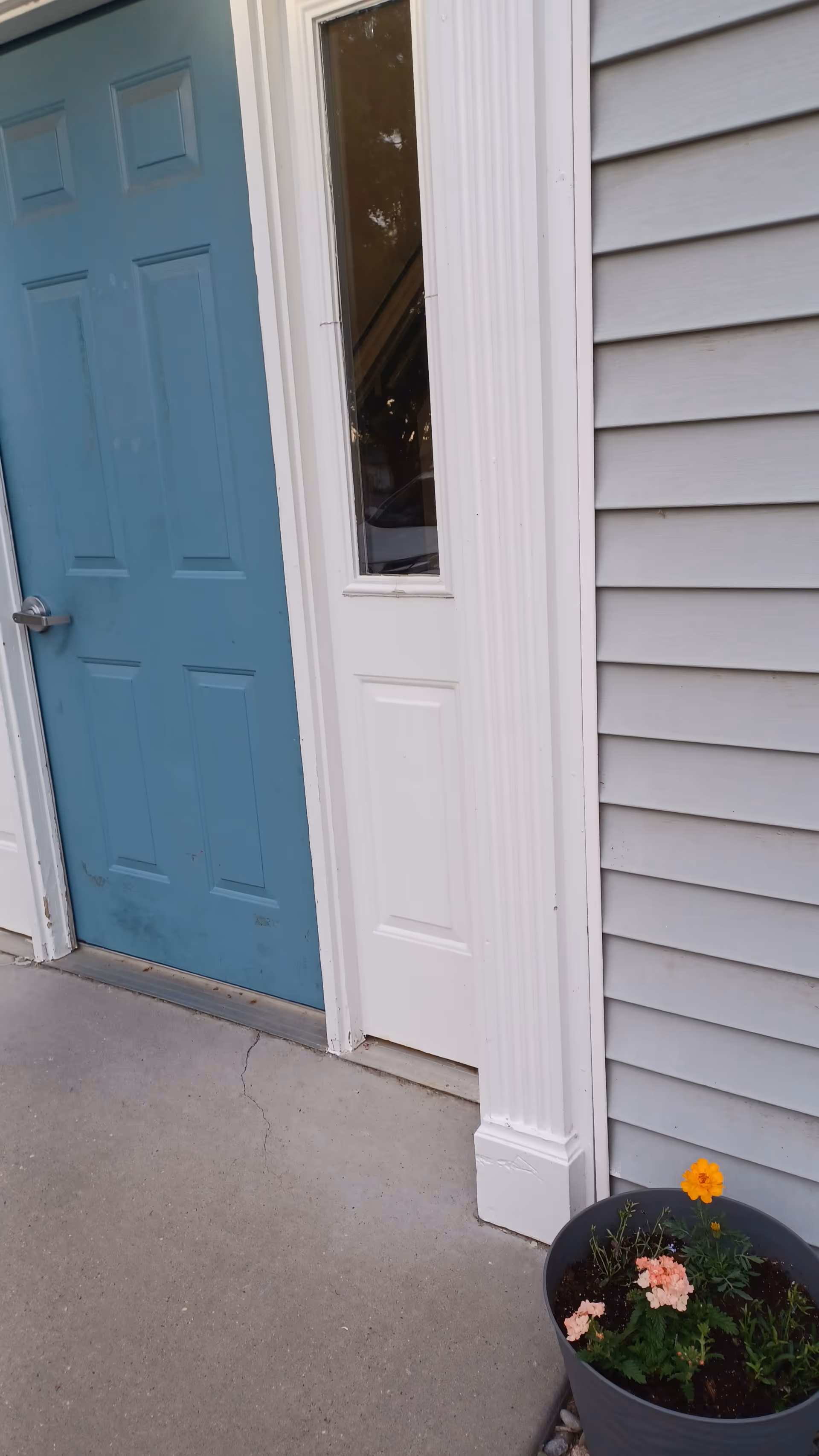 Blue front door with white trim beside a flowering planter outside