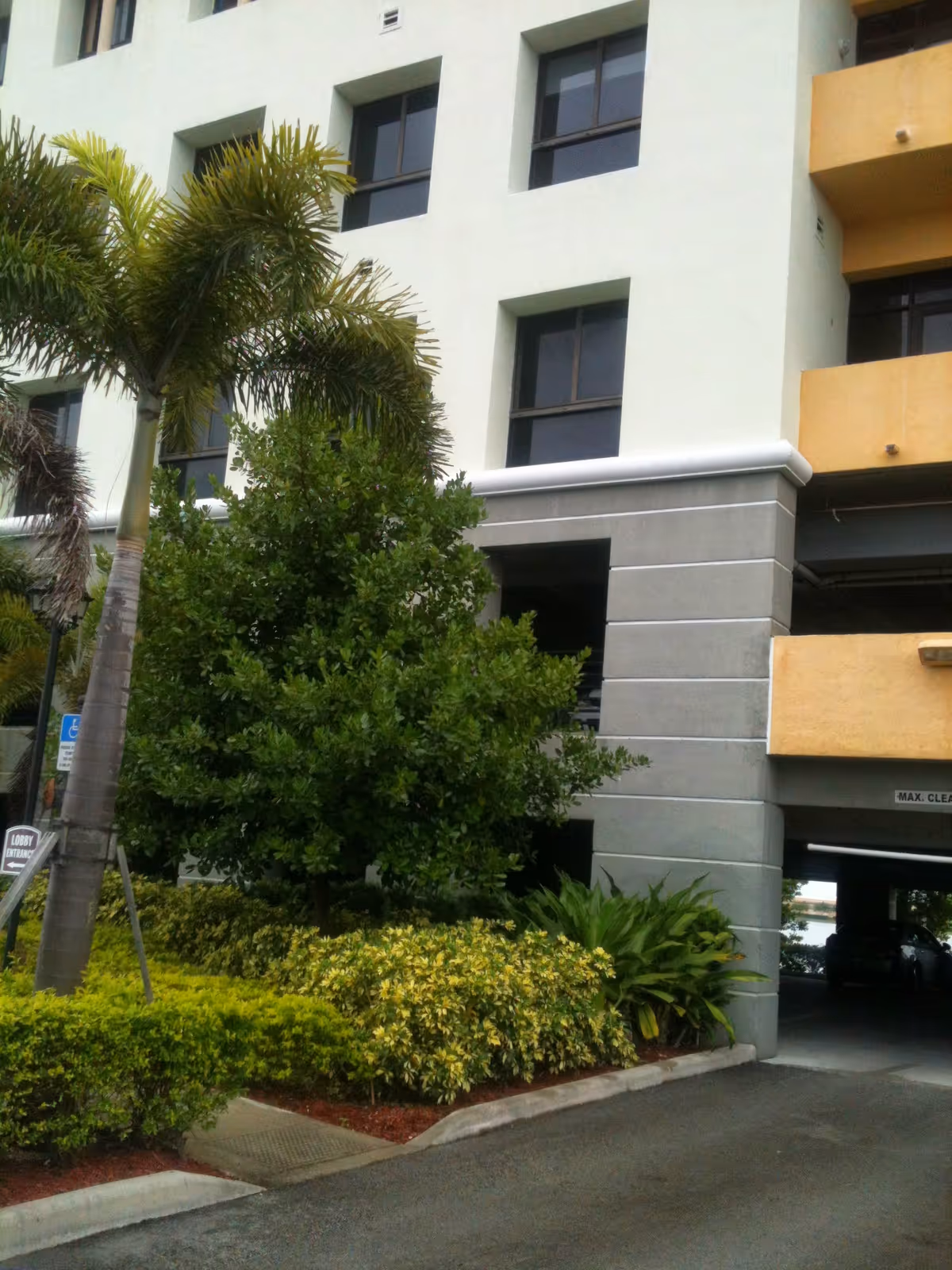 Exterior view of a multi-story senior living building with palm trees and landscaping.