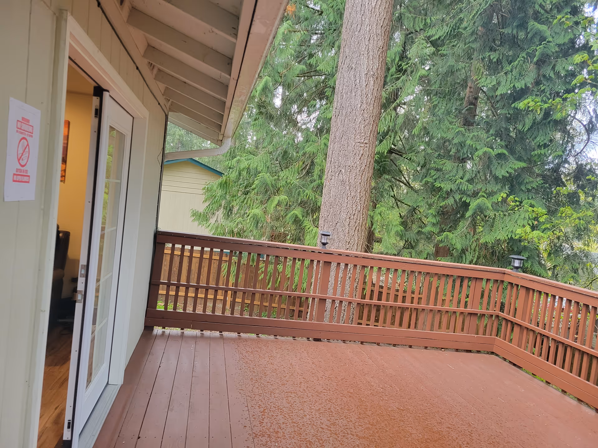 Wooden deck with railing outside a senior living facility, overlooking tall evergreen trees.