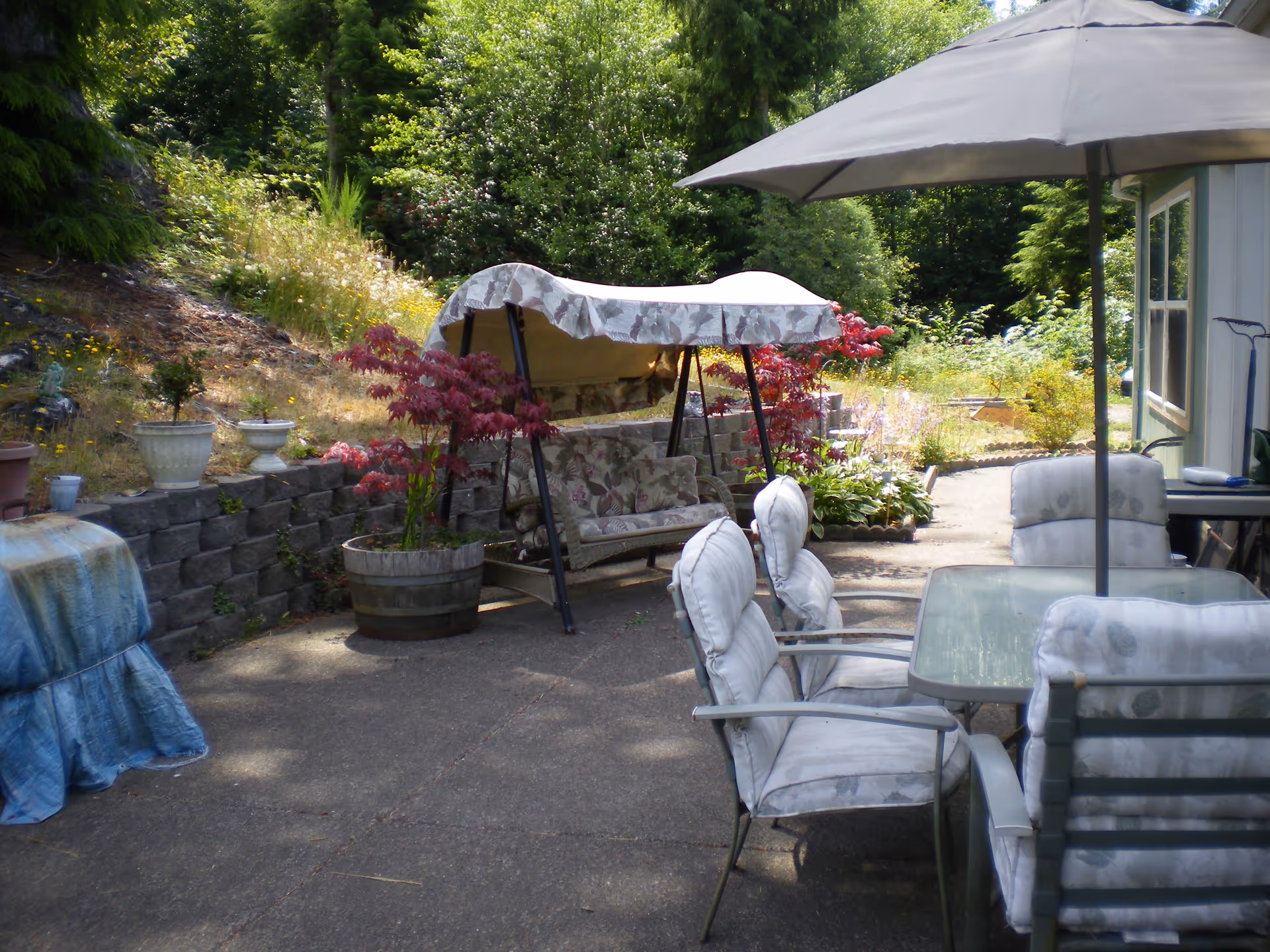 Outdoor patio area with cushioned chairs around a glass table under a large umbrella, a cushioned swing with a canopy, potted plants, and greenery in the background.