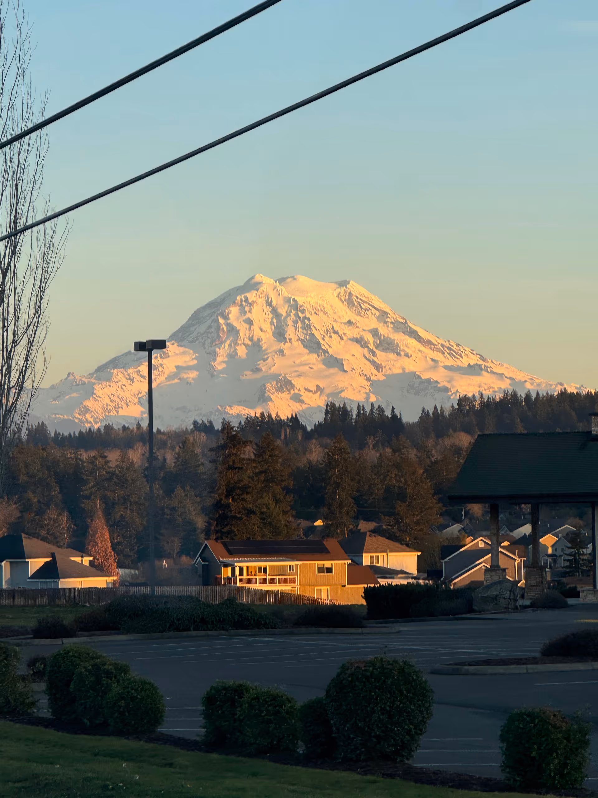 Snowy mountain behind a suburban scene with trees, parking lot, and low buildings.