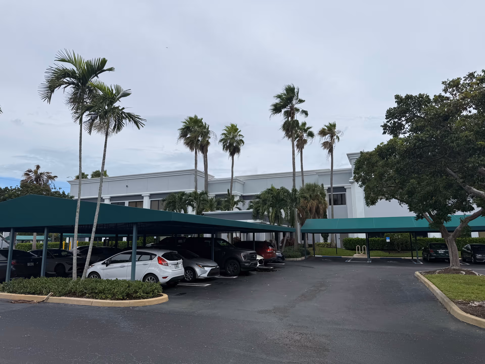 Exterior view of With Love Home Care facility with palm trees and shaded parking.