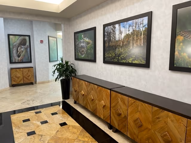 Interior hallway with framed photos, a wooden cabinet, and a potted plant.