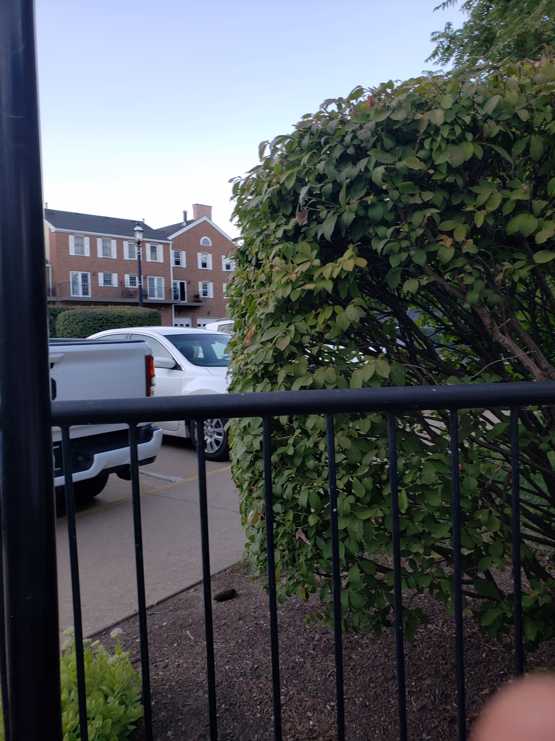 Outdoor view of a brick building with parked cars and a large green shrub in foreground.