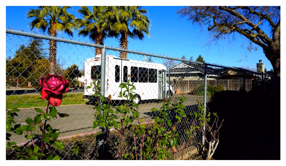 A white shuttle bus behind a chain-link fence near a rose and palm trees.