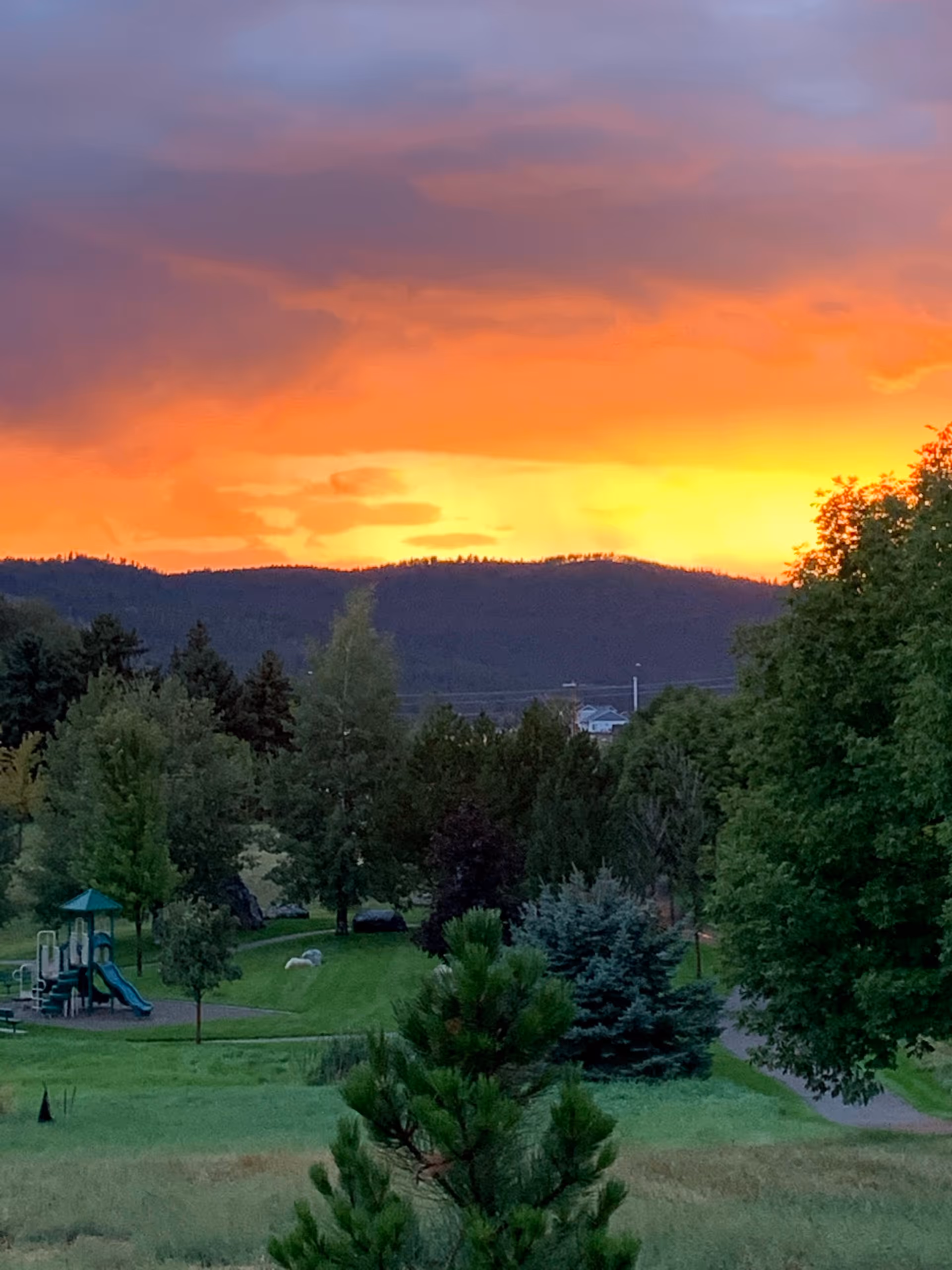 Sunset over a grassy park with trees and a playground.
