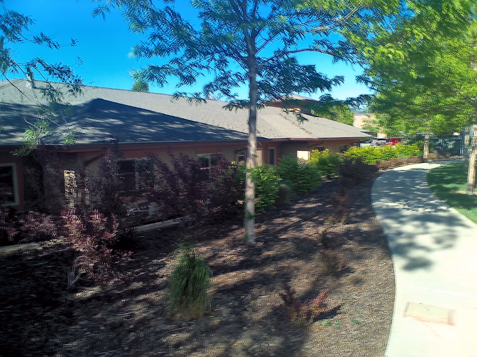 Single-story rehabilitation center building with a curved walkway and landscaped front yard.