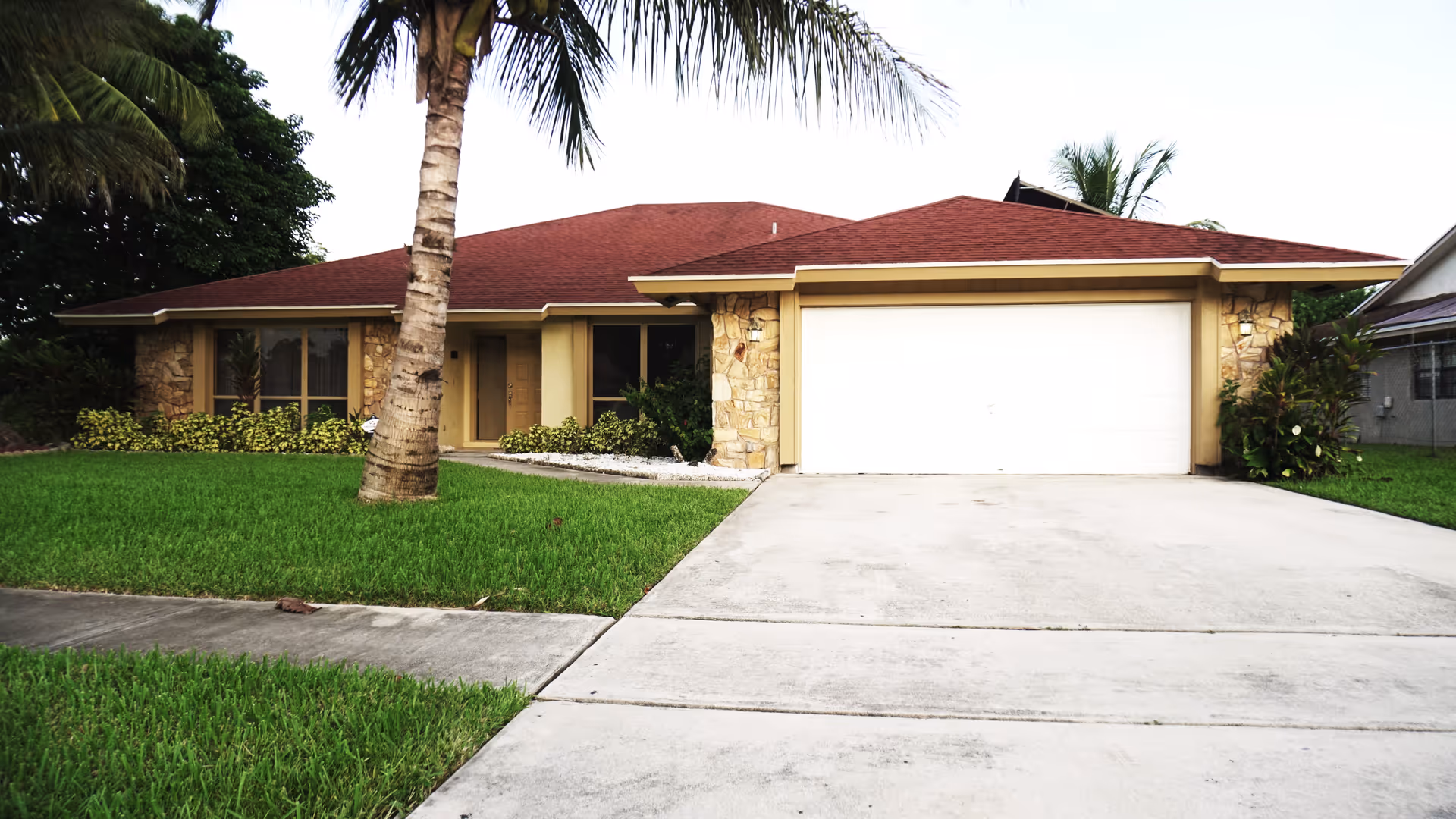 Single-story house with a red roof, stone and beige exterior walls, a large driveway, a garage with a white door, a palm tree in the front yard, and green grass surrounding the property.