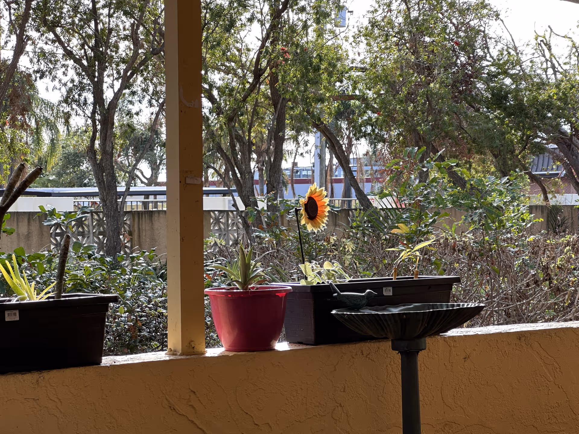 Outdoor balcony with potted plants, a sunflower, and a water fountain against a railing.