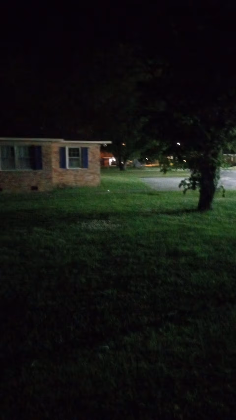 Night view of a brick building facade with windows, trees, and a grassy lawn.
