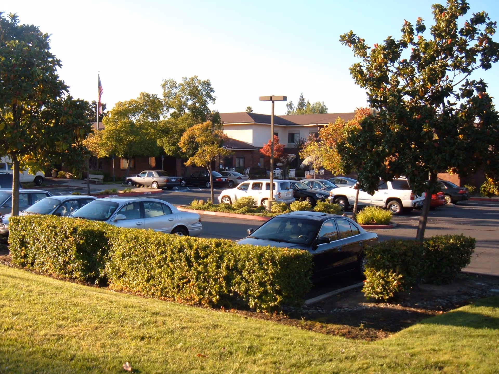 Exterior view of ManorCare Health Services Citrus Heights with parked cars and trees.