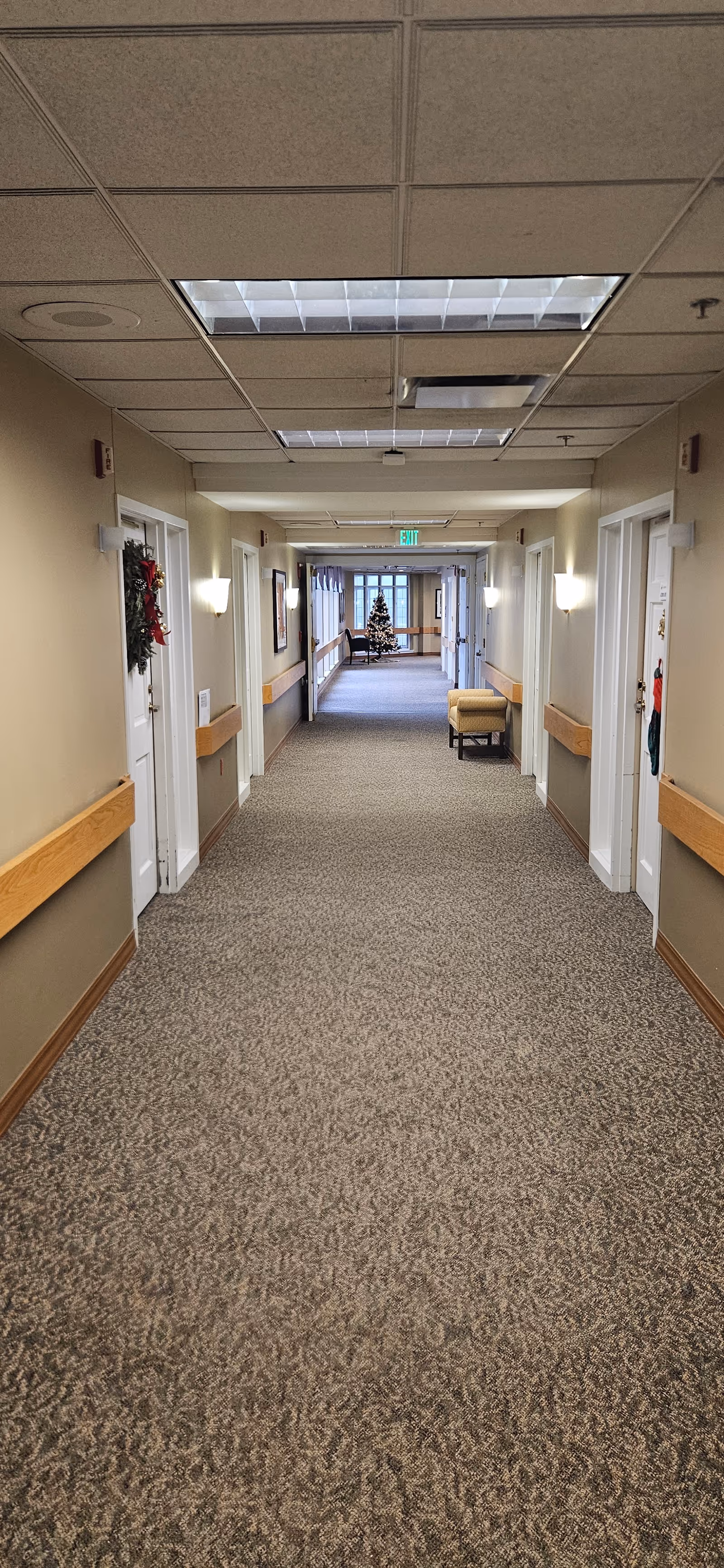 Long carpeted hallway in a senior living facility with doors, handrails, and a distant Christmas tree.