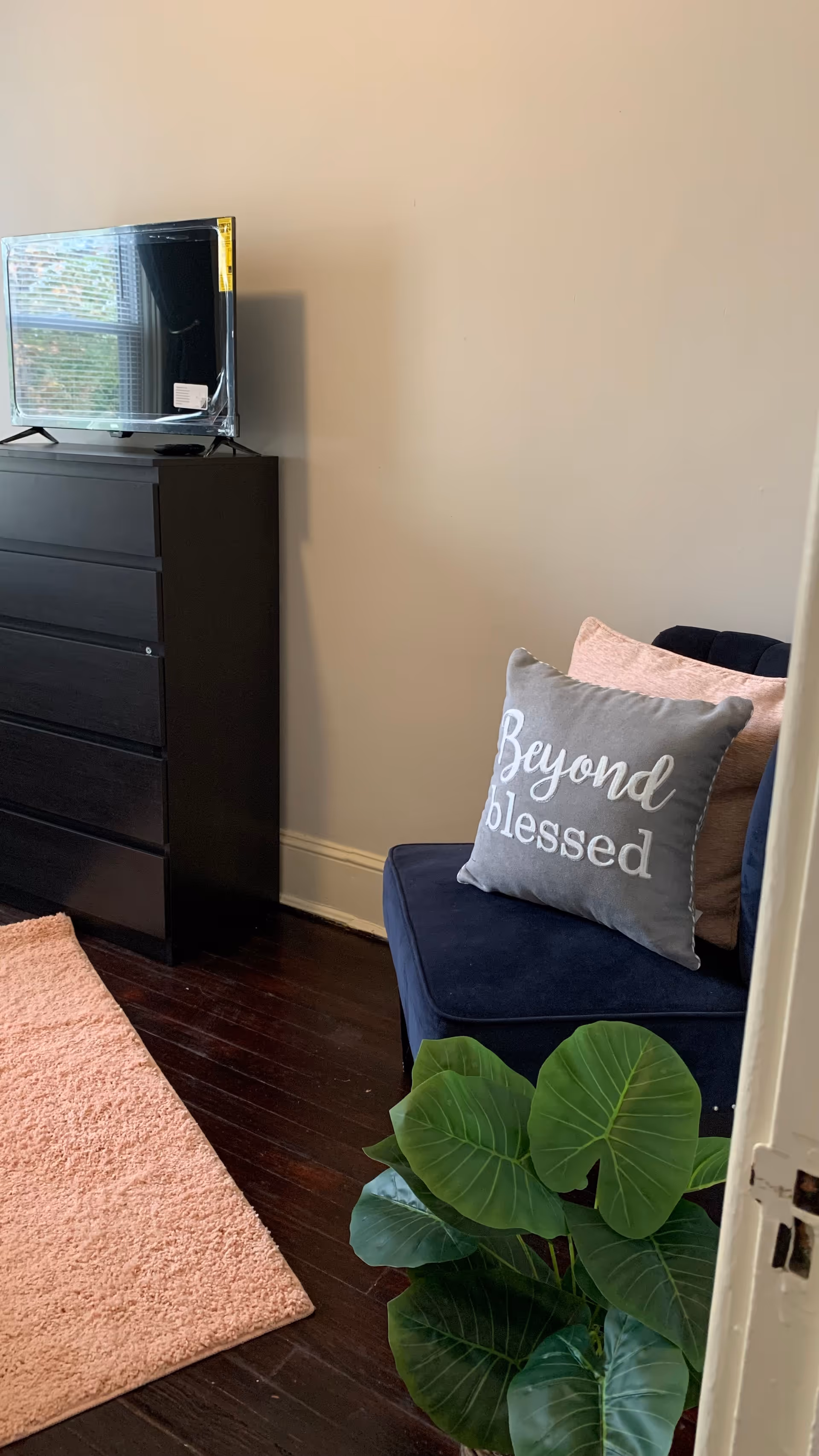 Cozy living room corner with a dark dresser, small TV, navy chair, pink rug, and plant.