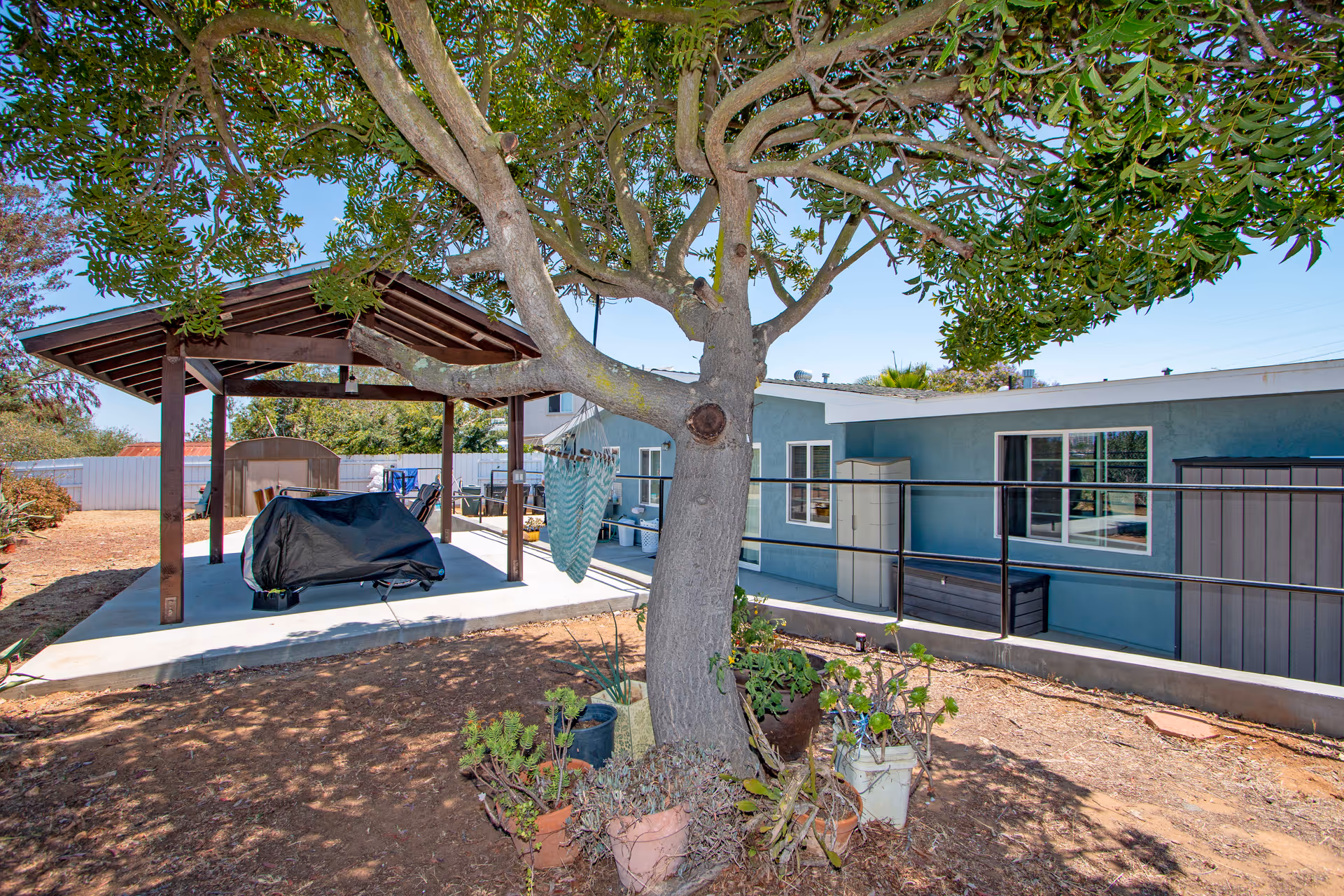 Outdoor area of Canyon Guest Home featuring a large tree with potted plants around its base, a covered patio with a grill covered by a black cover, and a blue building with windows and a ramp.