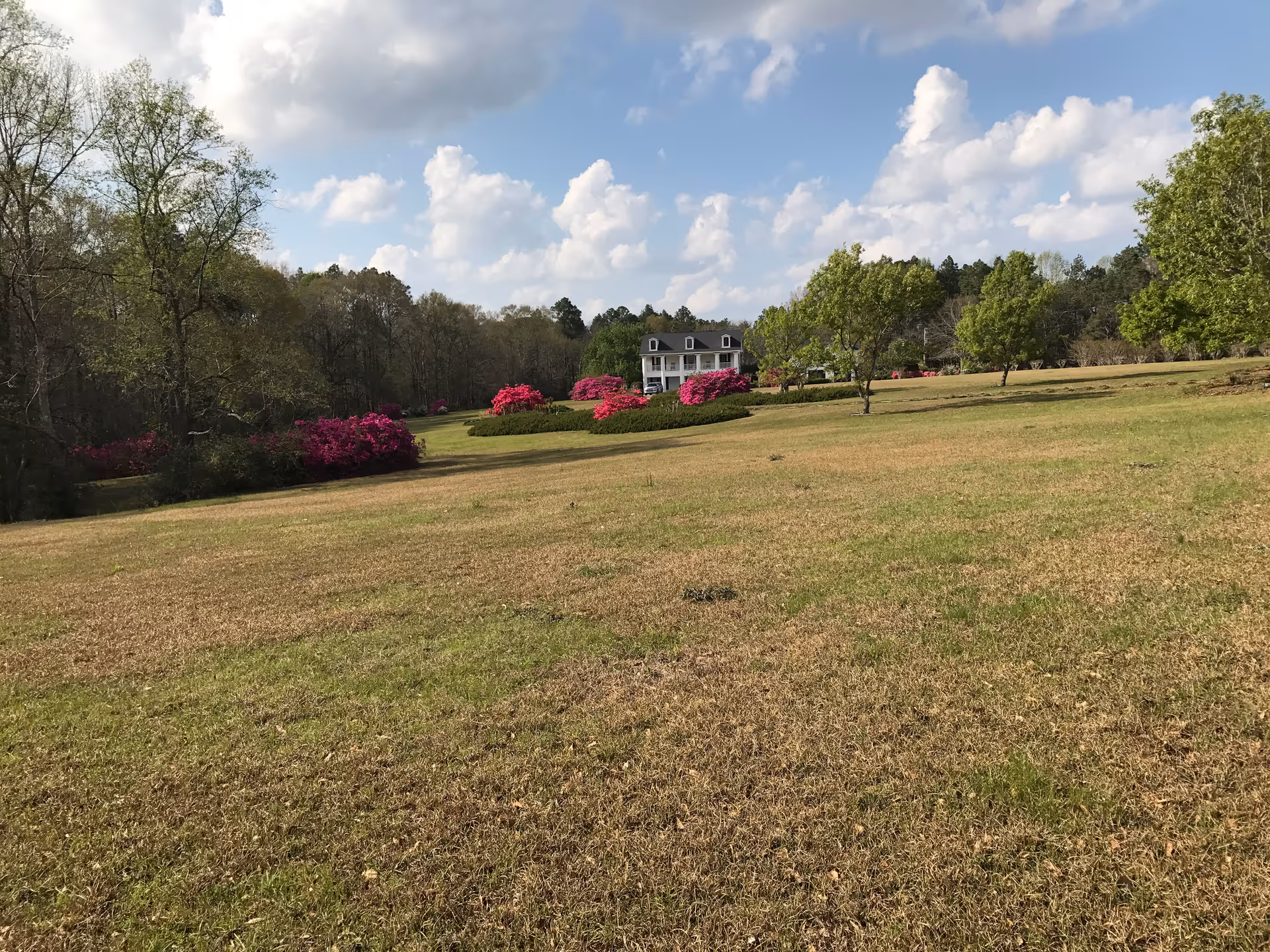 Wide grassy field with trees, pink flowering shrubs, and a distant house under a blue sky.