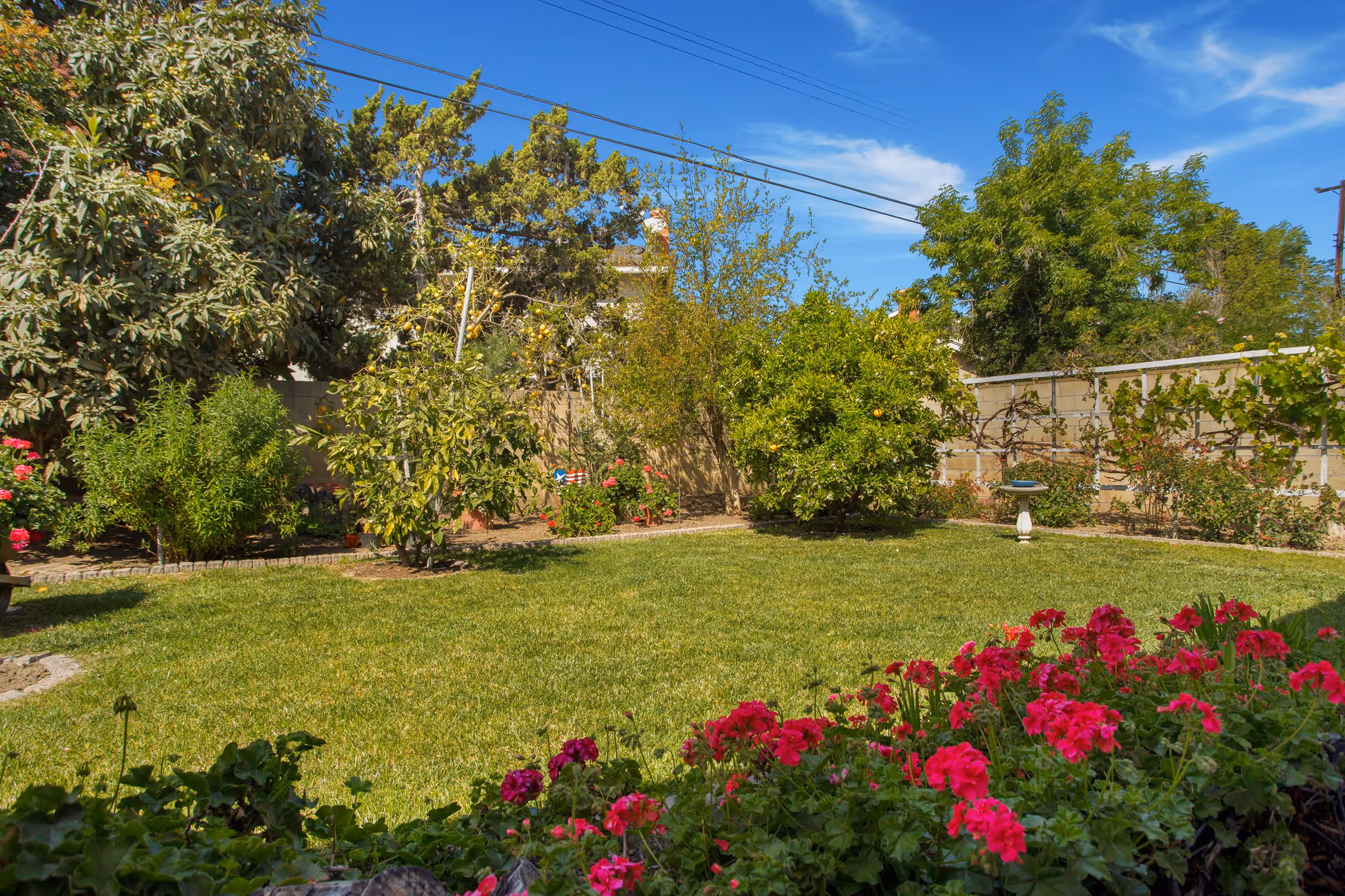 A sunny garden area with a well-maintained green lawn, various trees including fruit trees, and vibrant pink flowers in the foreground. A birdbath is visible near a brick wall in the background under a clear blue sky.
