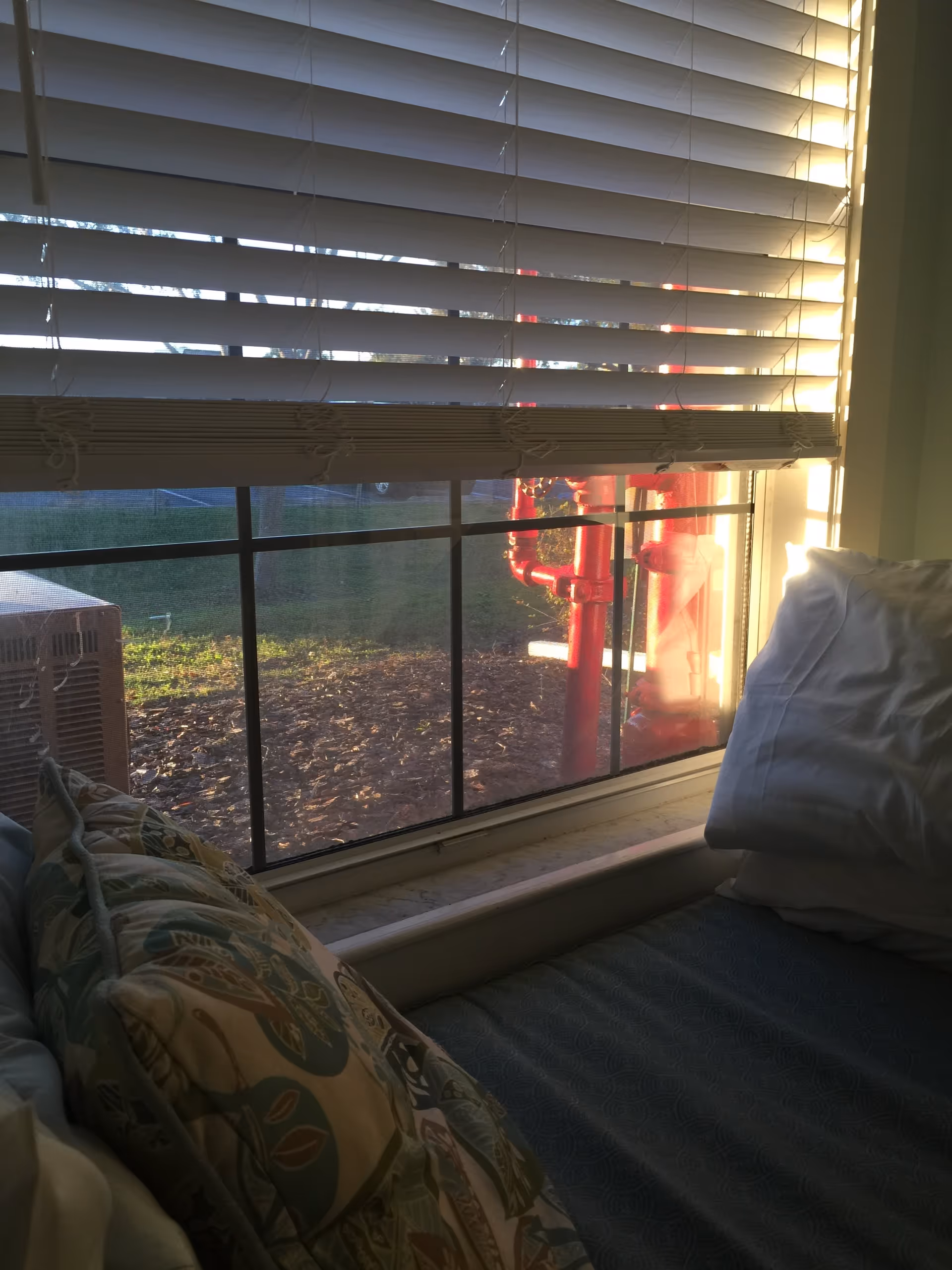 Sunlit bedroom with blinds, pillows on a bed, and a window view outside.