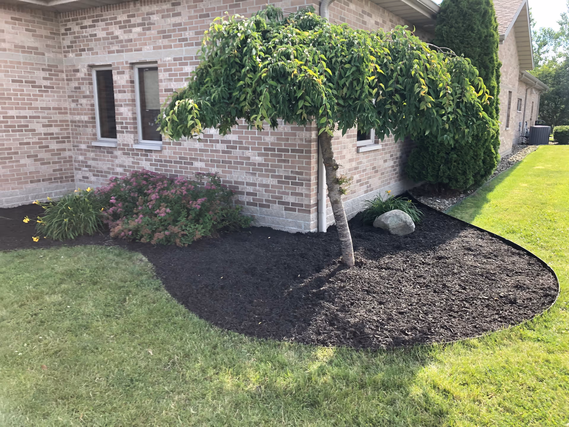 Brick senior living facility exterior with a curved mulched bed and tree.