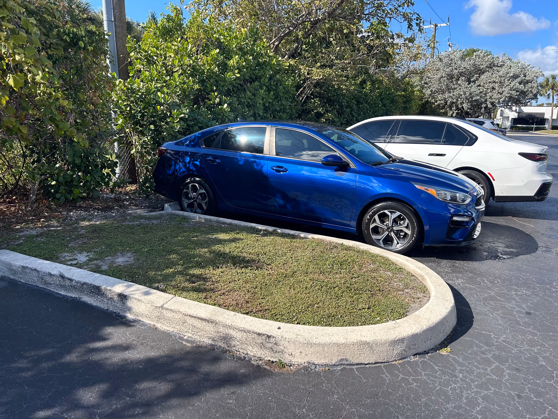 Blue sedan and white car parked in a lot beside dense greenery and a curved curb