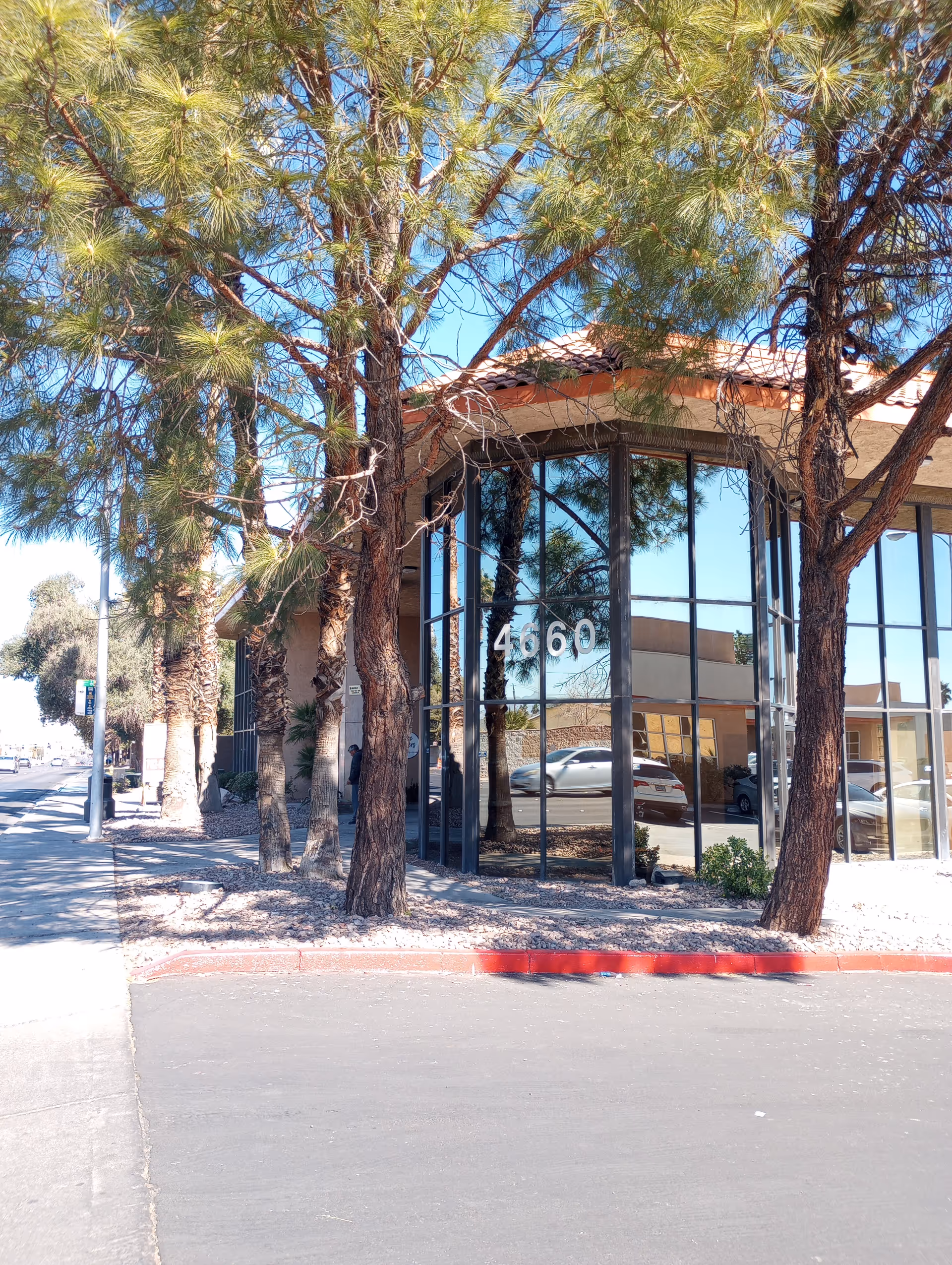 Exterior view of a glass-front building with tall trees and a parking lot.