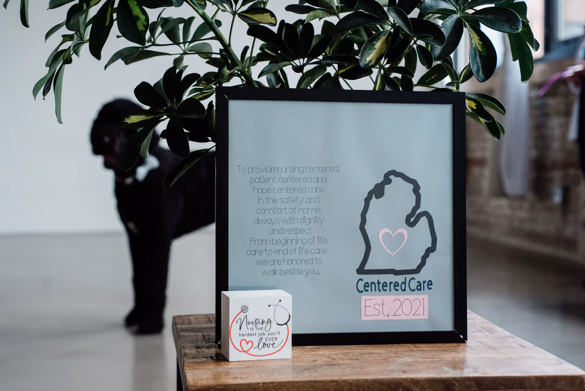 Framed Centered Care sign with heart logo on a wooden table beneath a leafy plant.