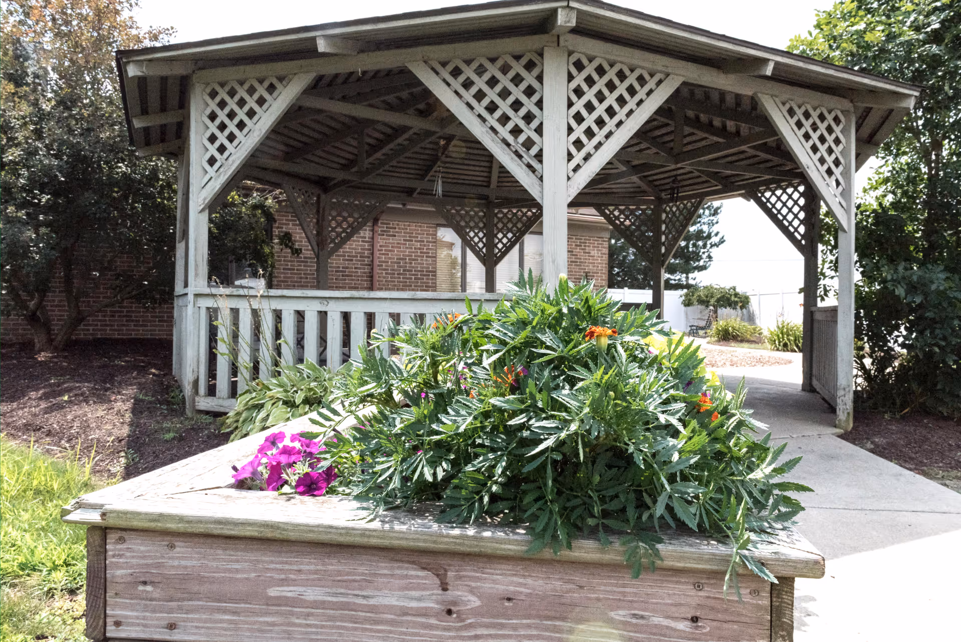 Wooden gazebo with lattice details sits beside a brick building, framed by flowering plants.