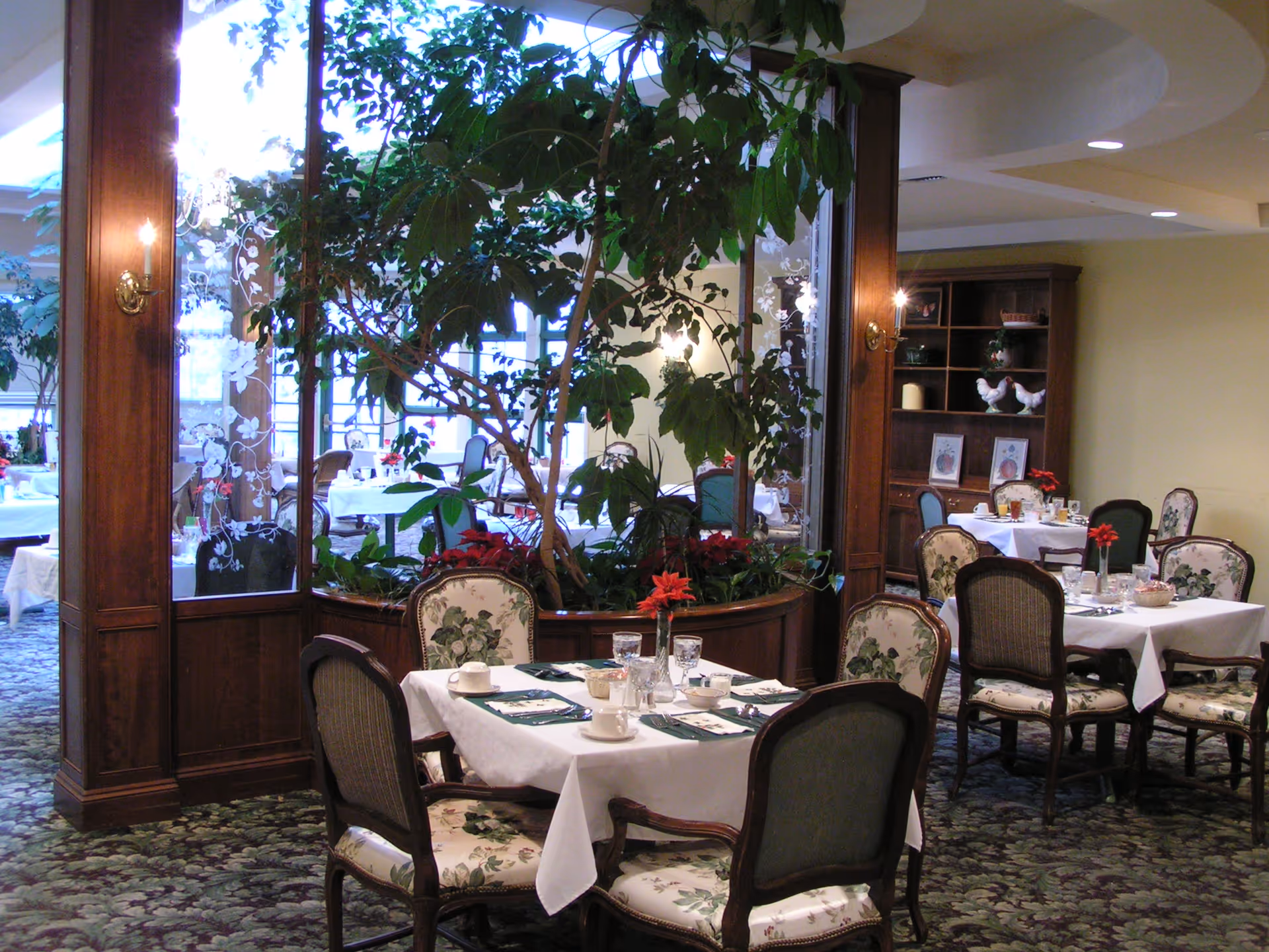 An elegant dining room with tables covered in white tablecloths, set with cups, glasses, and napkins. The room features floral upholstered chairs, a large indoor plant centerpiece, wooden paneling, and a carpeted floor with a floral pattern. Shelves with decorative items are visible in the background.
