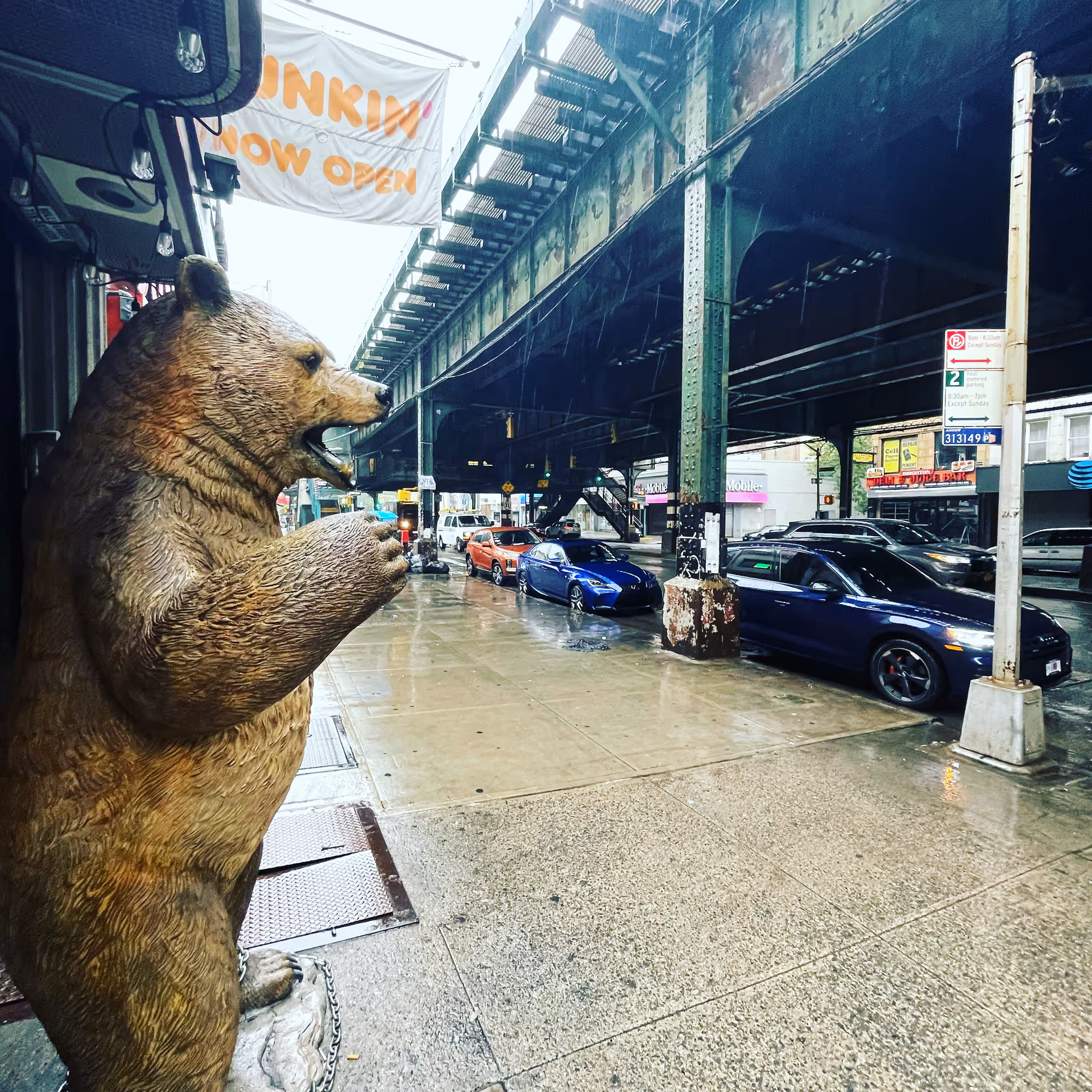 Outdoor city street scene with a bear statue beside a wet sidewalk.