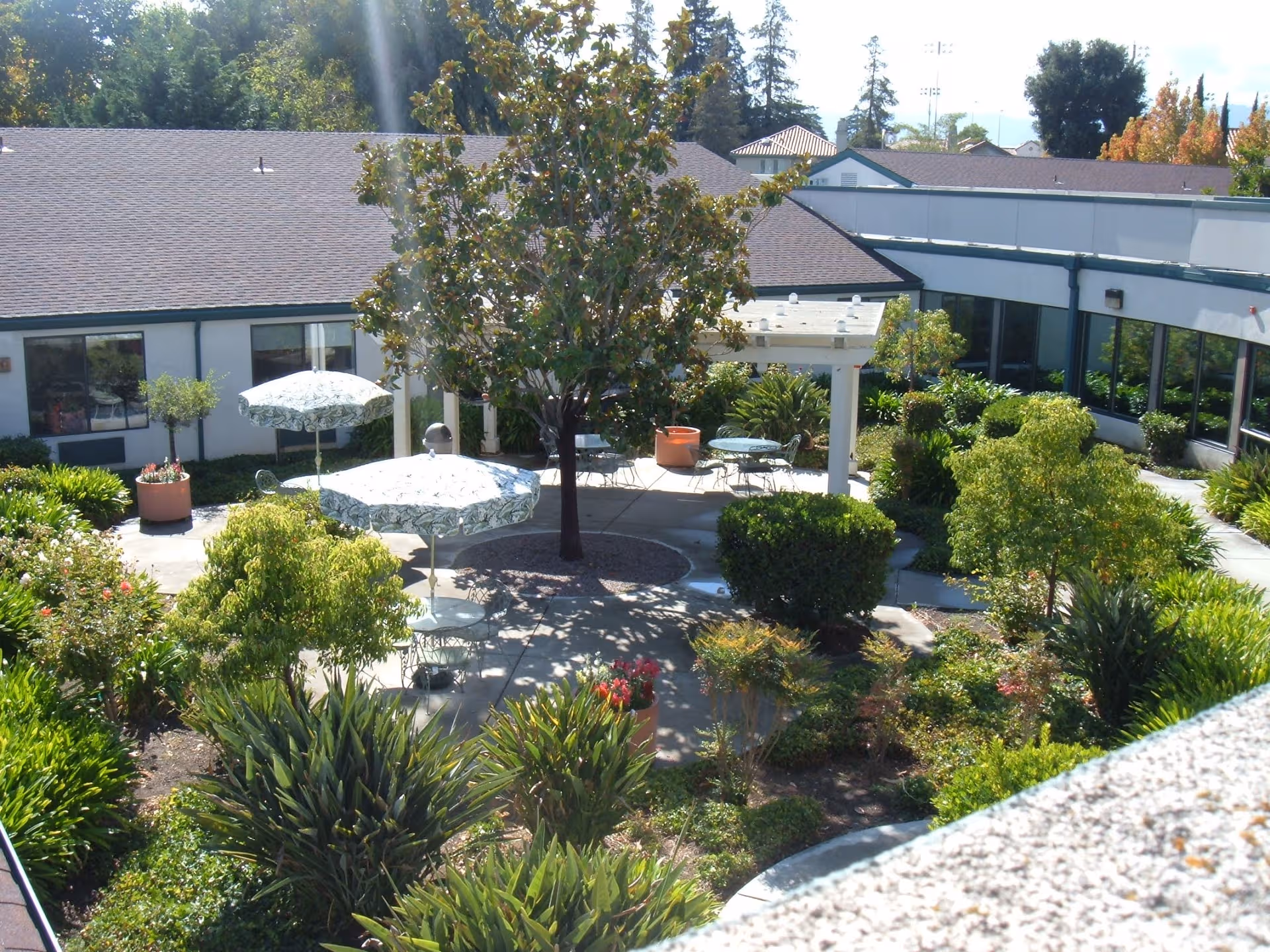 Outdoor courtyard with tables, umbrellas, and lush greenery surrounding a low, single-story building.