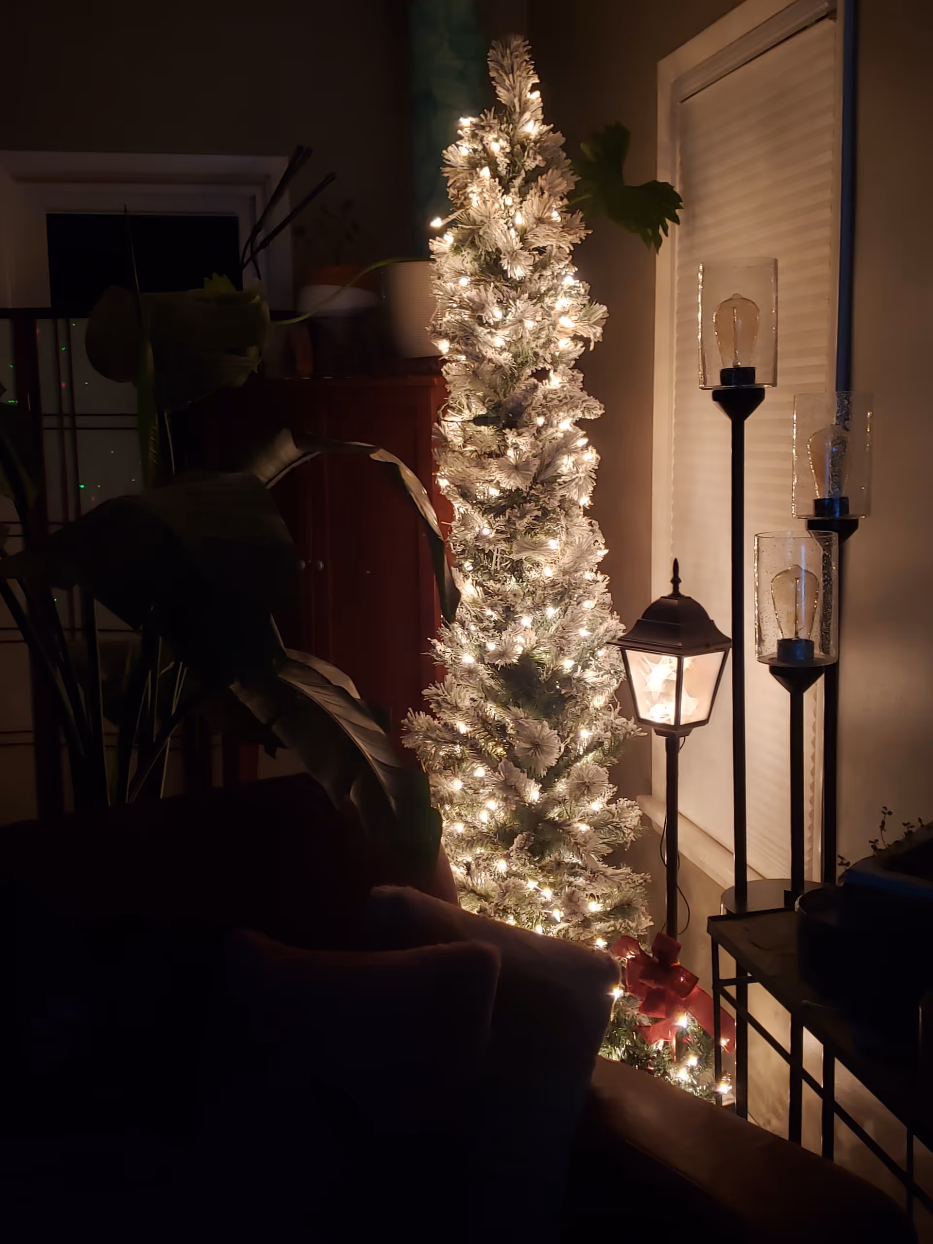 A lit Christmas tree with festive lights beside lamps in a cozy living room.