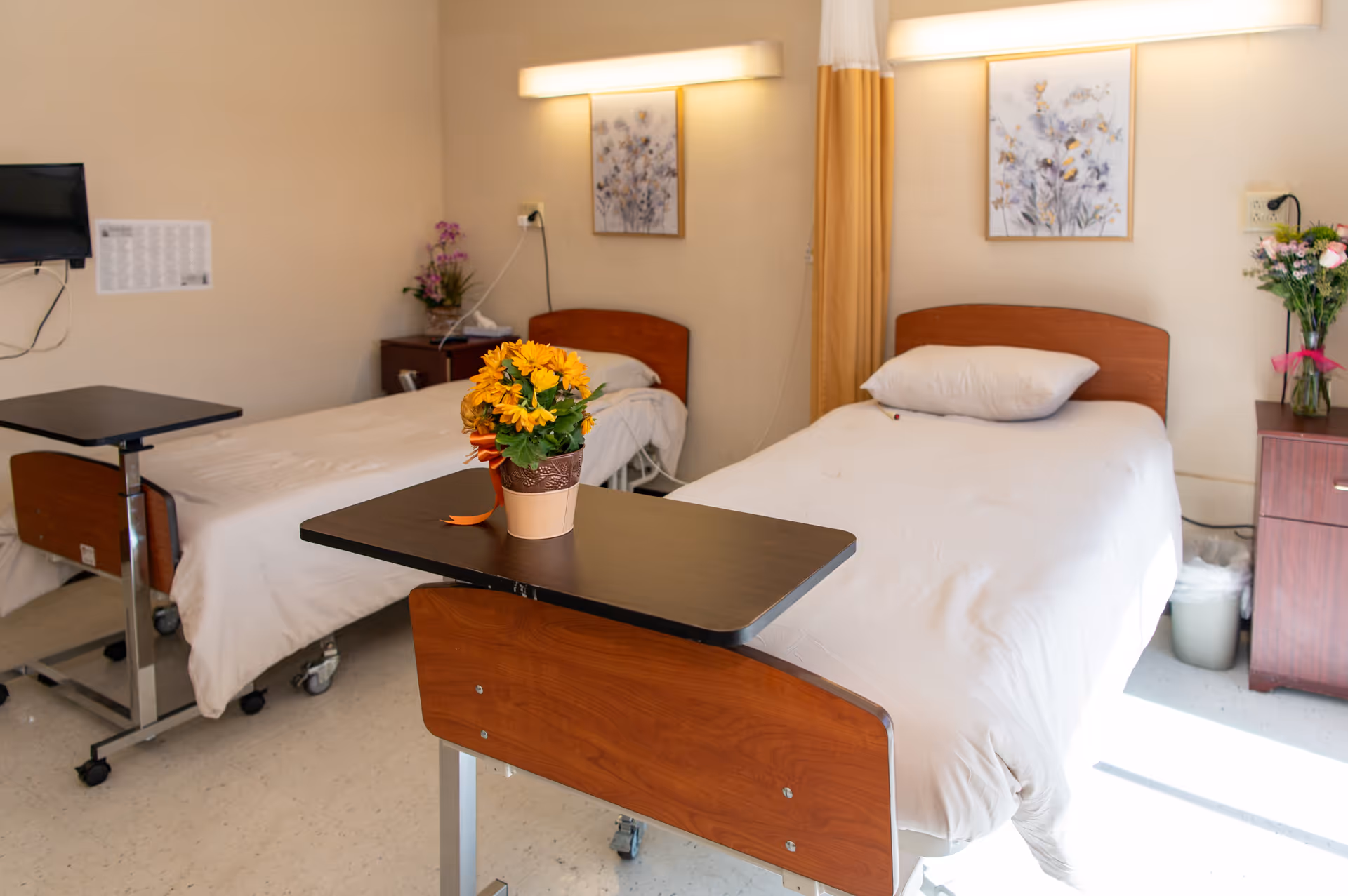 Two hospital-style beds in a bright room with plants and wall art.