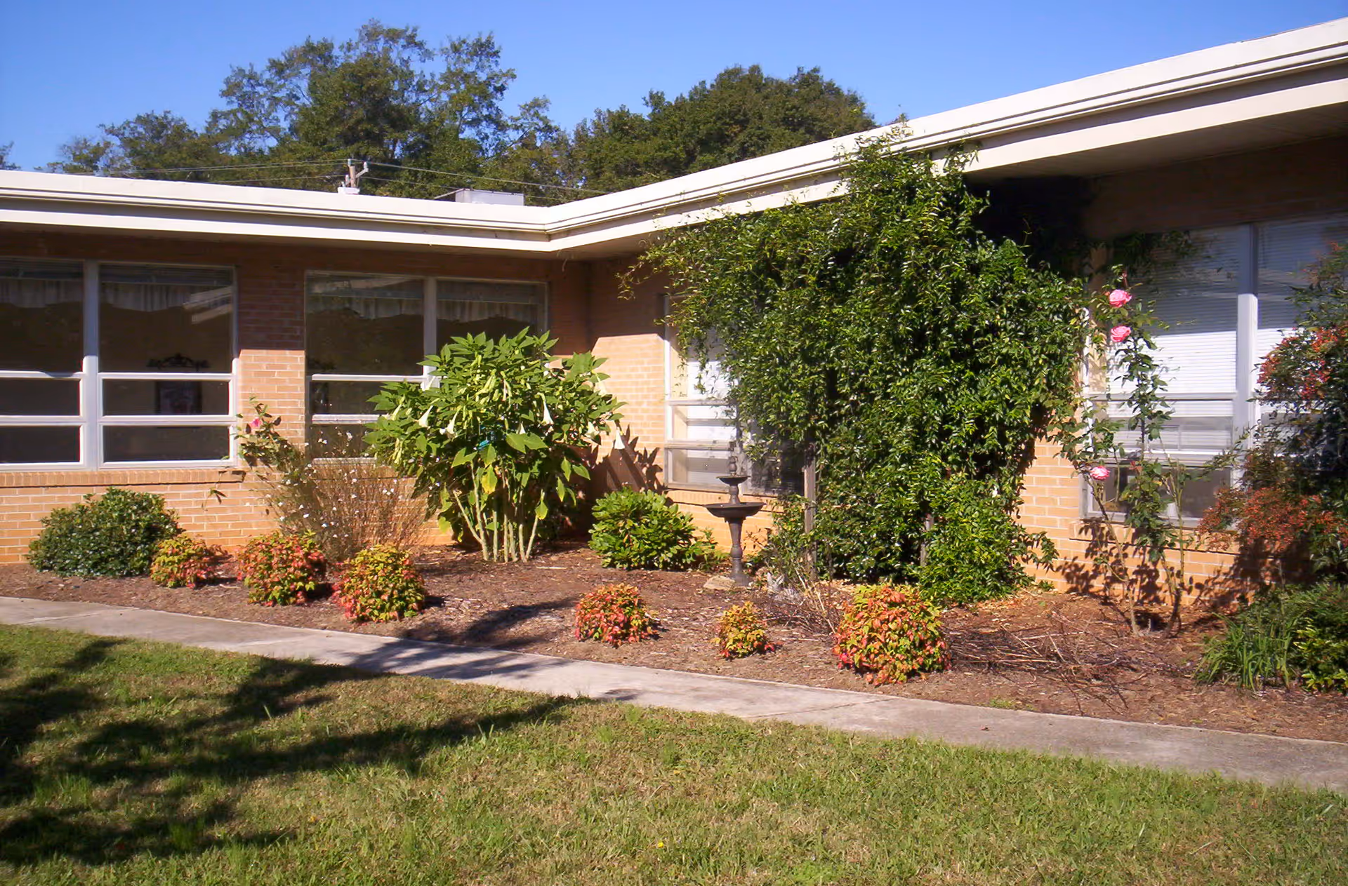 Brick Magnolia Manor exterior with landscaped shrubs and large windows.