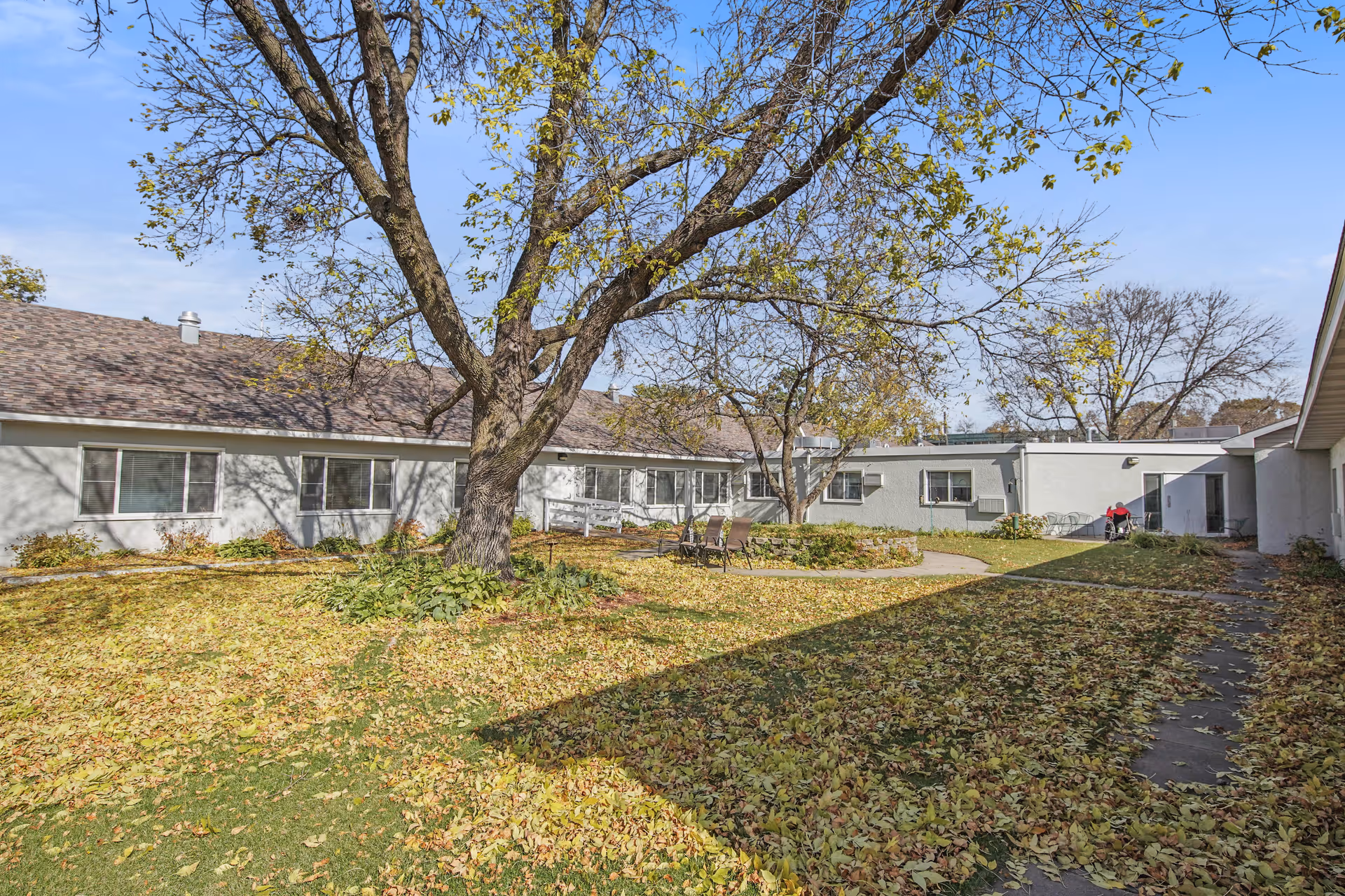Outdoor courtyard area of Osseo Gardens Assisted Living with a large tree in the center, fallen leaves covering the grass, a few chairs around a small circular paved area, and single-story building wings surrounding the courtyard under a clear blue sky.