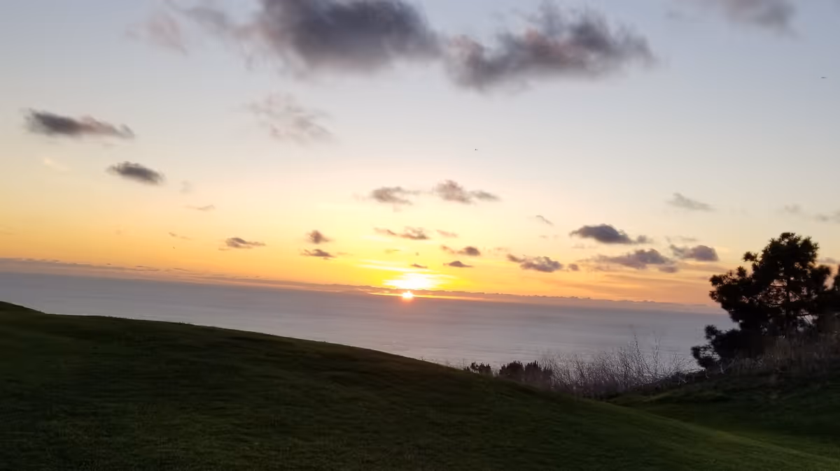 Sunset over the Pacific Ocean from a grassy Palos Verdes hill with trees.