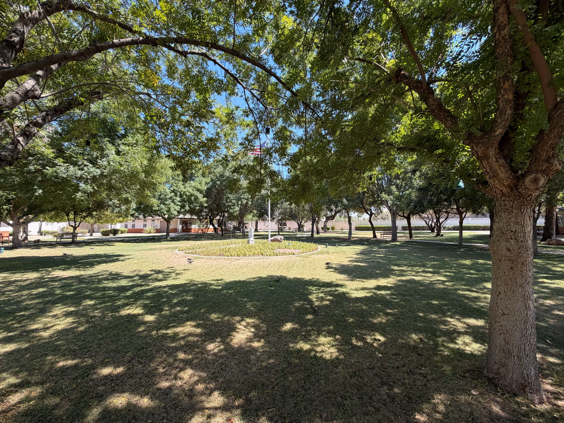 Shaded outdoor courtyard with trees, benches, and a circular flower bed.