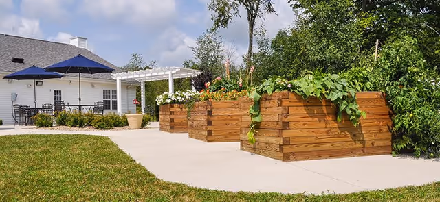 Outdoor patio area at The Meadows at Covington featuring raised wooden garden beds with green plants and flowers, a concrete walkway, lawn, and a white building with blue umbrellas and outdoor seating under a partly cloudy sky.
