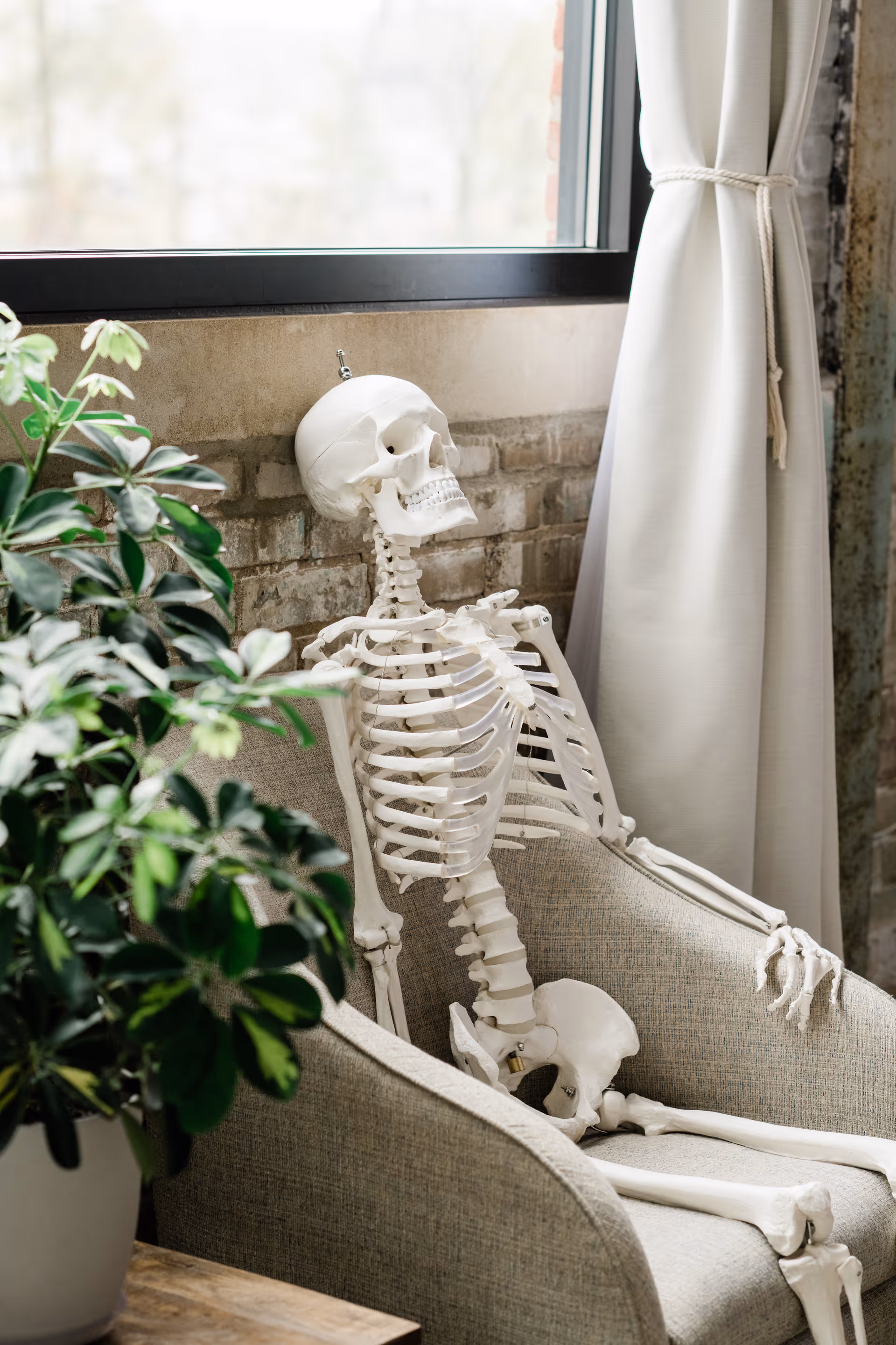 Skeleton model sits on a beige chair near a window with white curtain.
