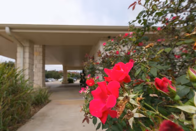 Red roses in the foreground beside a covered entrance walkway with stone columns at a health center.