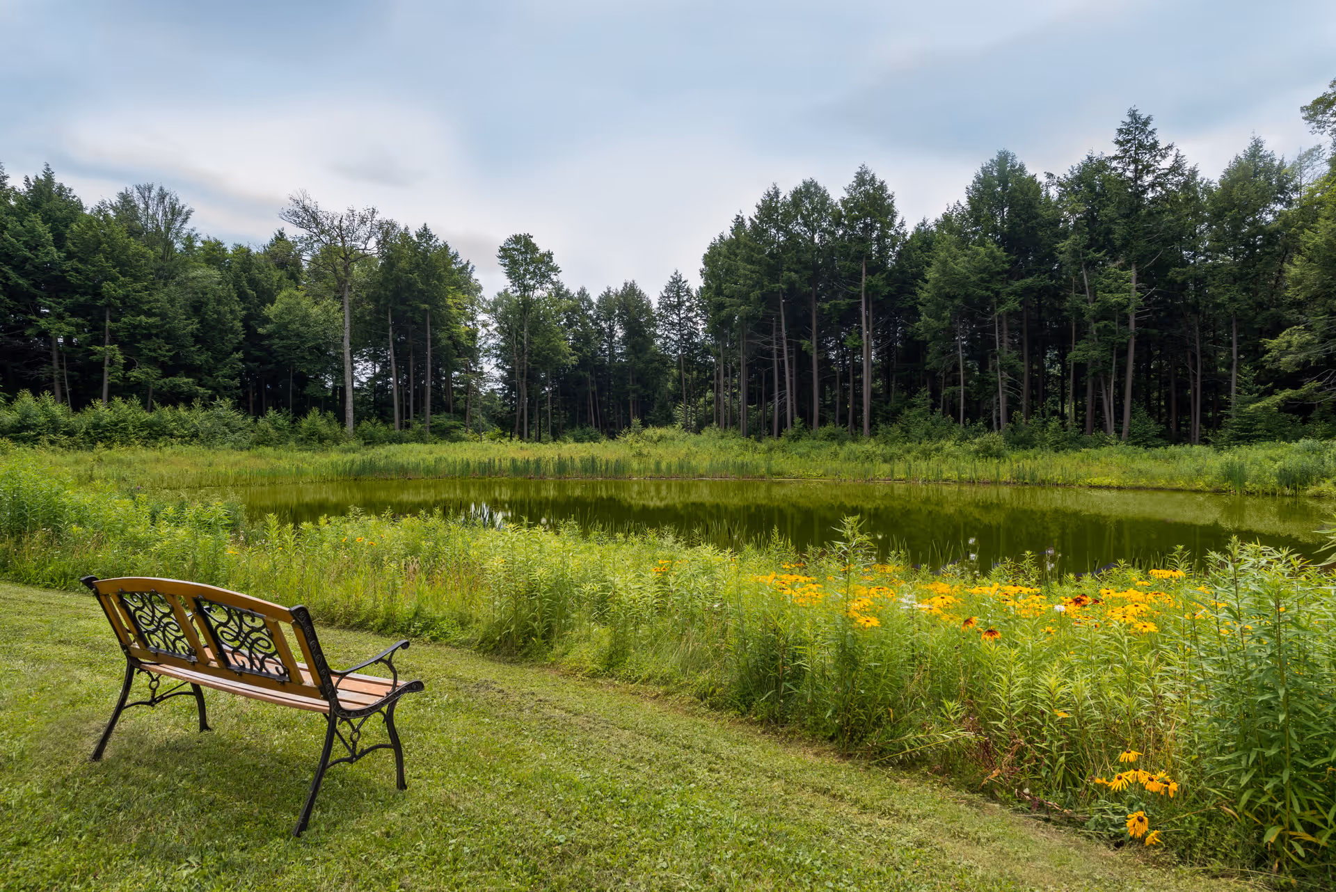 A decorative bench overlooks a small pond bordered by wildflowers and a tree-lined forest.
